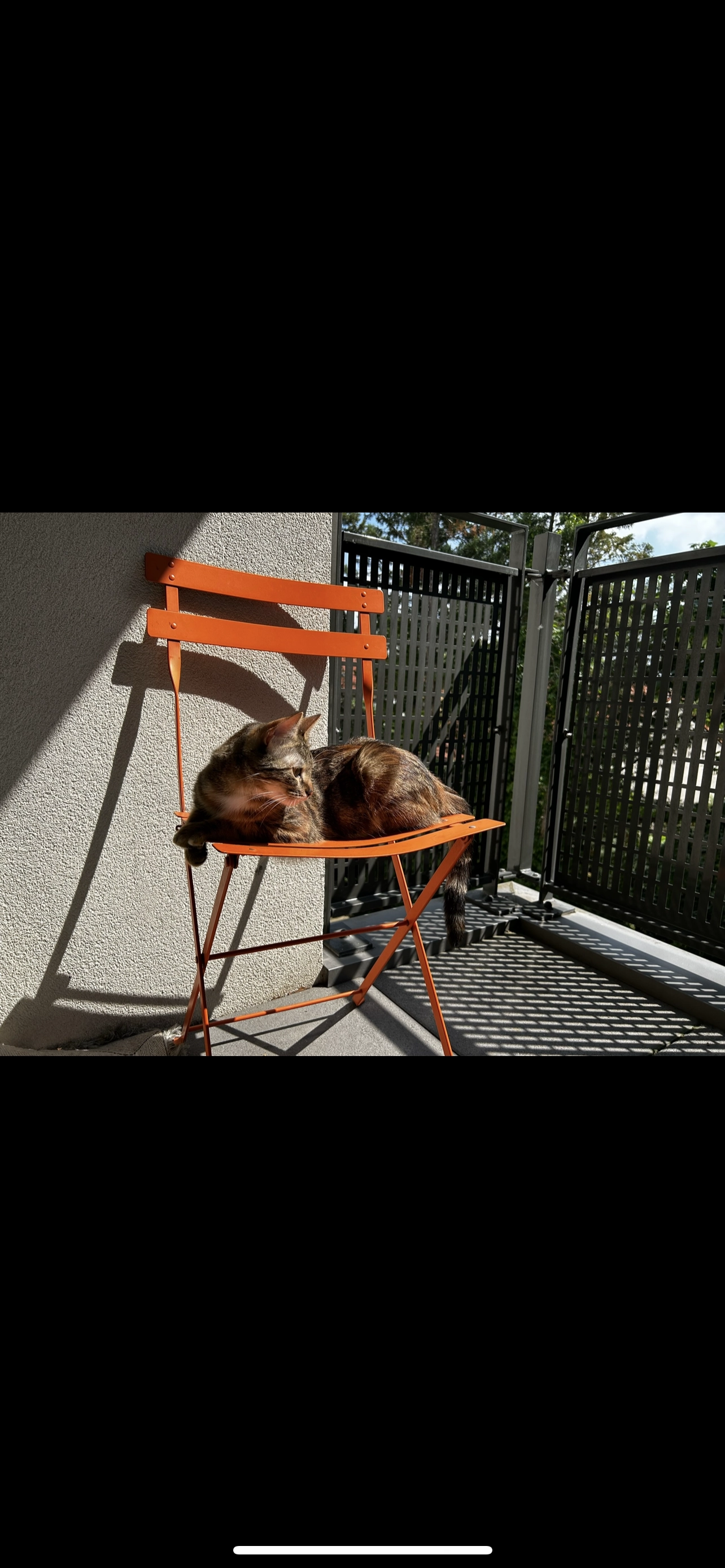 Isis - 33 Rue Jacquemart, Romans-sur-Isère