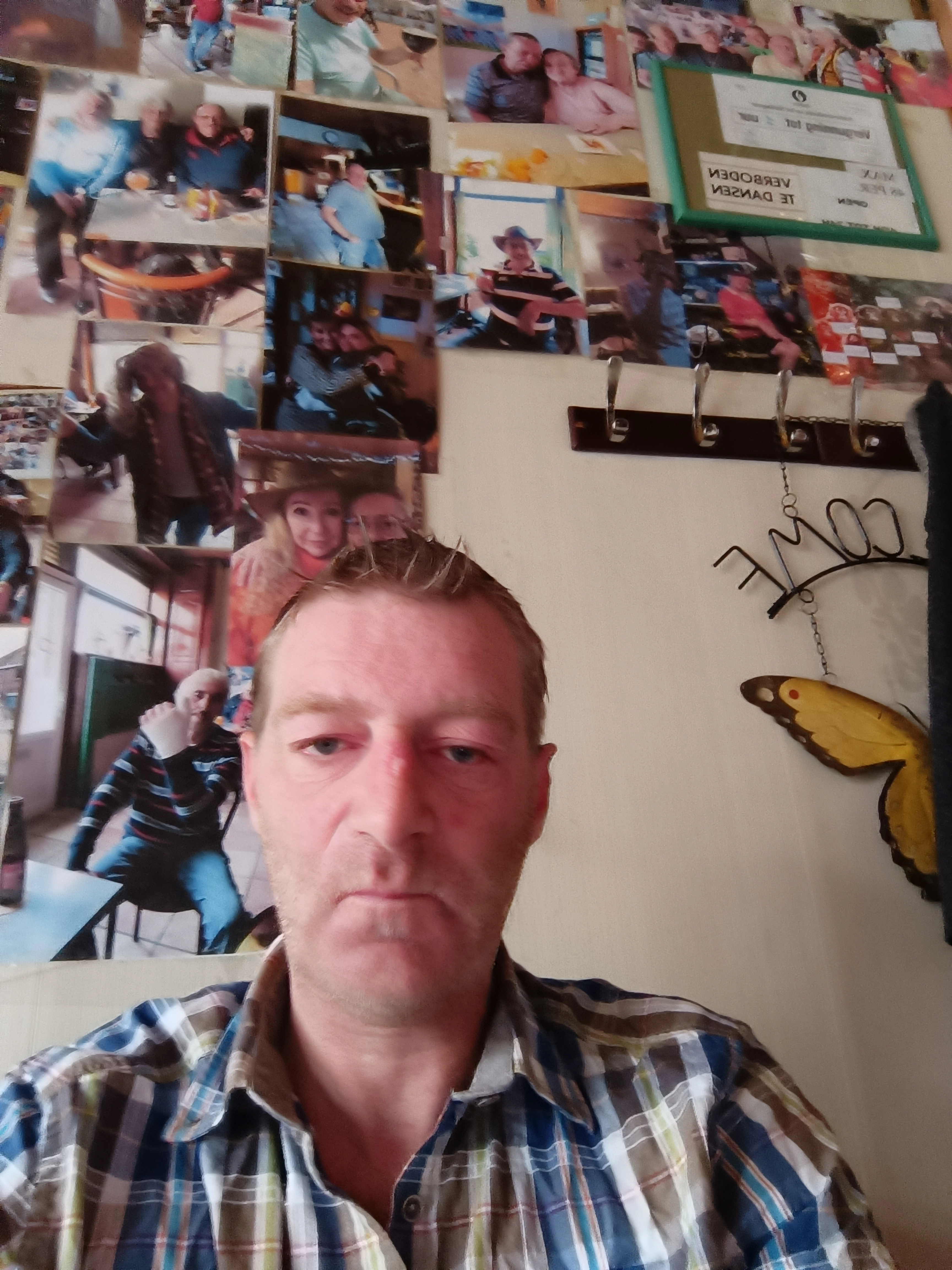 Goldy - Zwijnaardsesteenweg, Gent