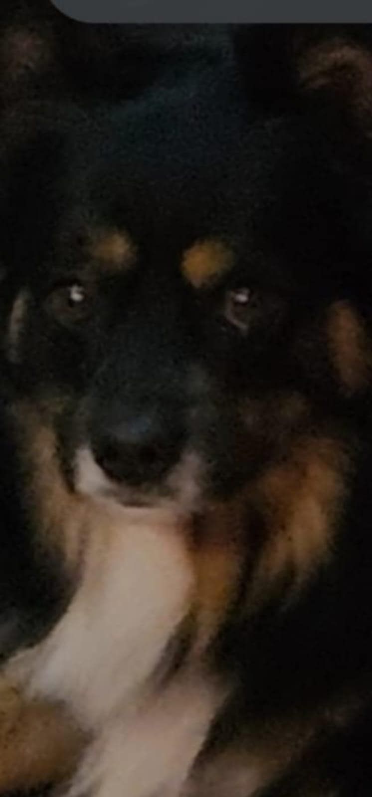 Pari - Bergmannstraße, Steinfeld