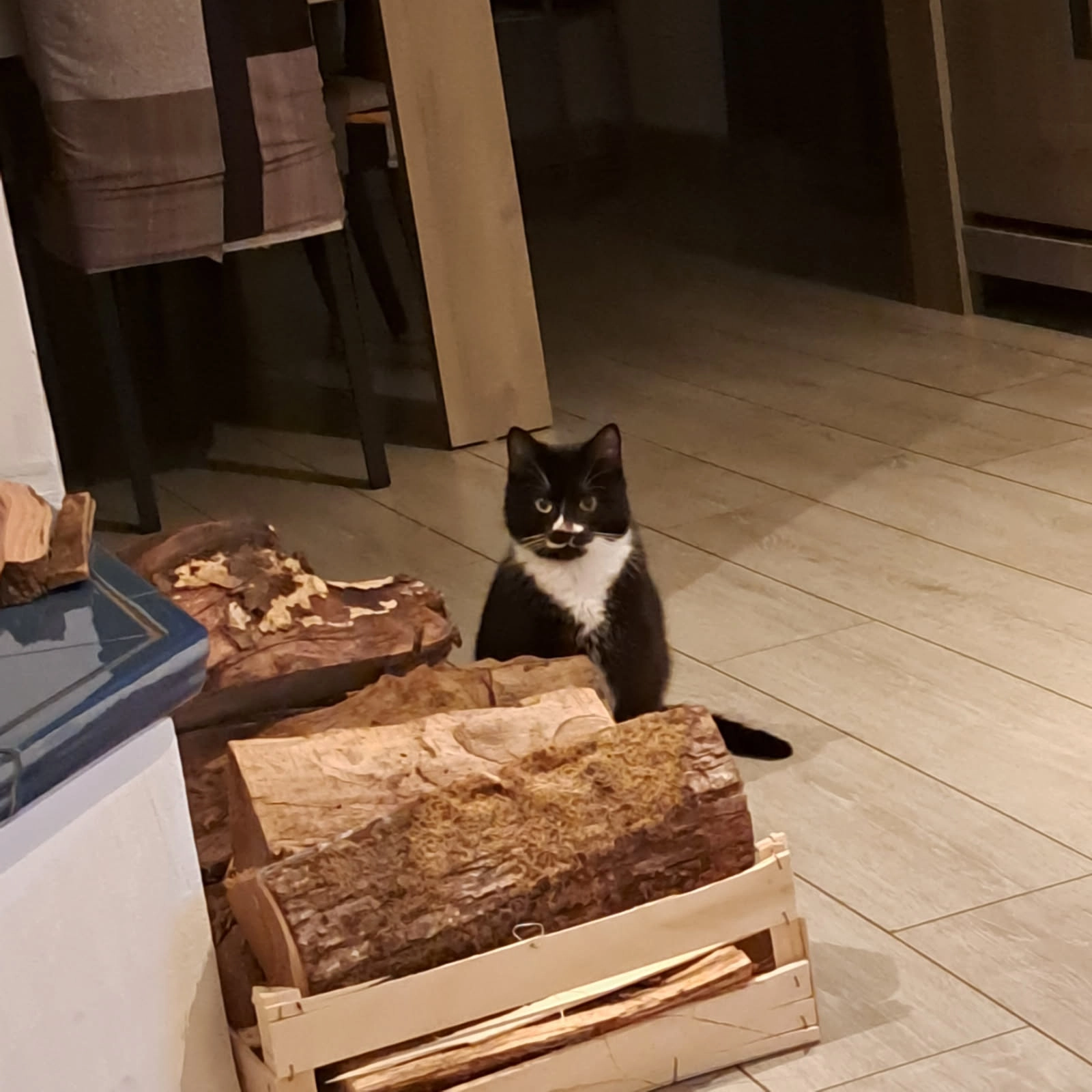 Louna - Rue des Châtaigniers, Neuwiller-lès-Saverne