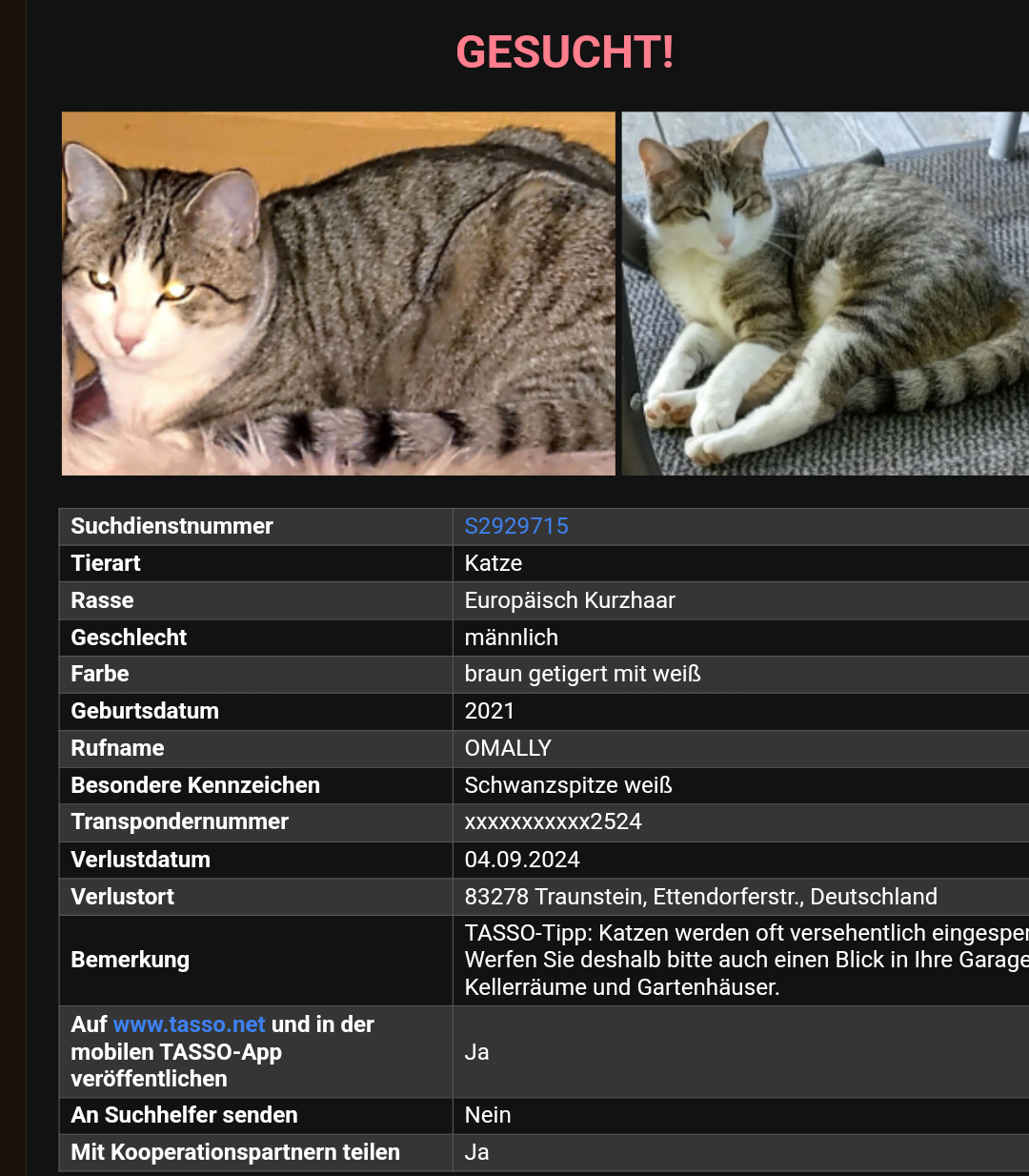 O'Mally - Ettendorfer Straße, Traunstein