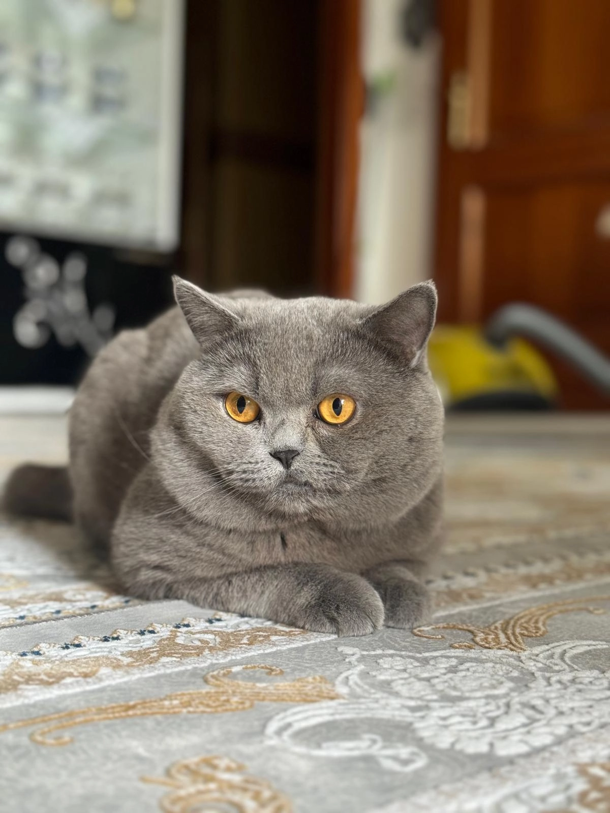 Reso - Hellwagstraße, Wien