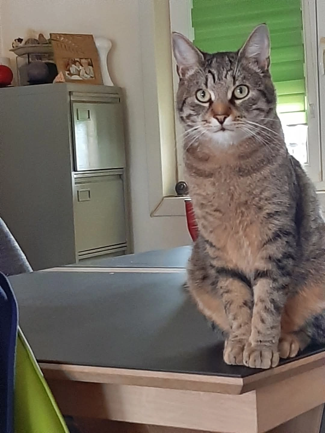 Ouin ouin  - Rue D'anjou, Bruay-la-Buissière