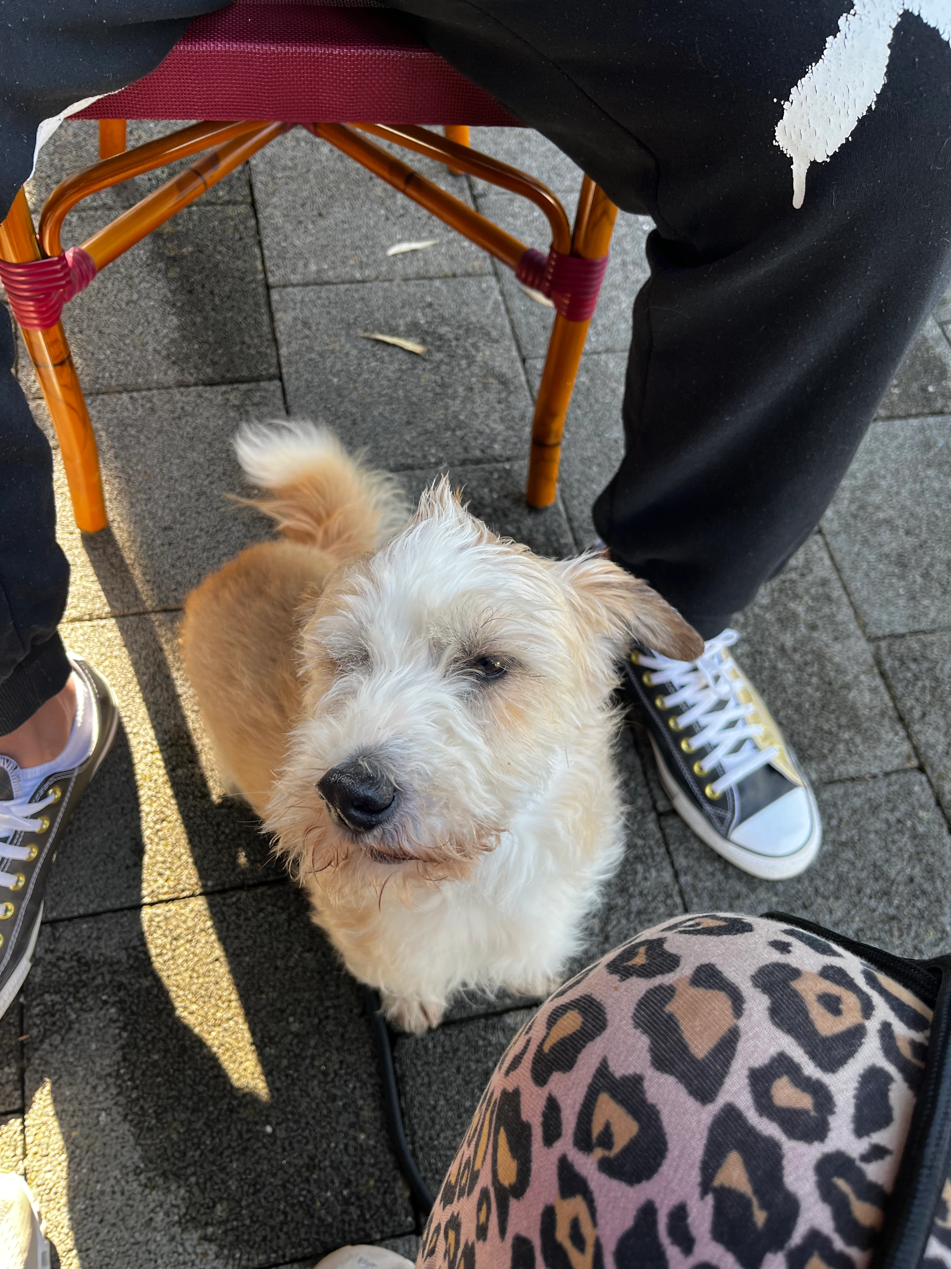 Kalle Baby - Außenring Villingen, Villingen-Schwenningen