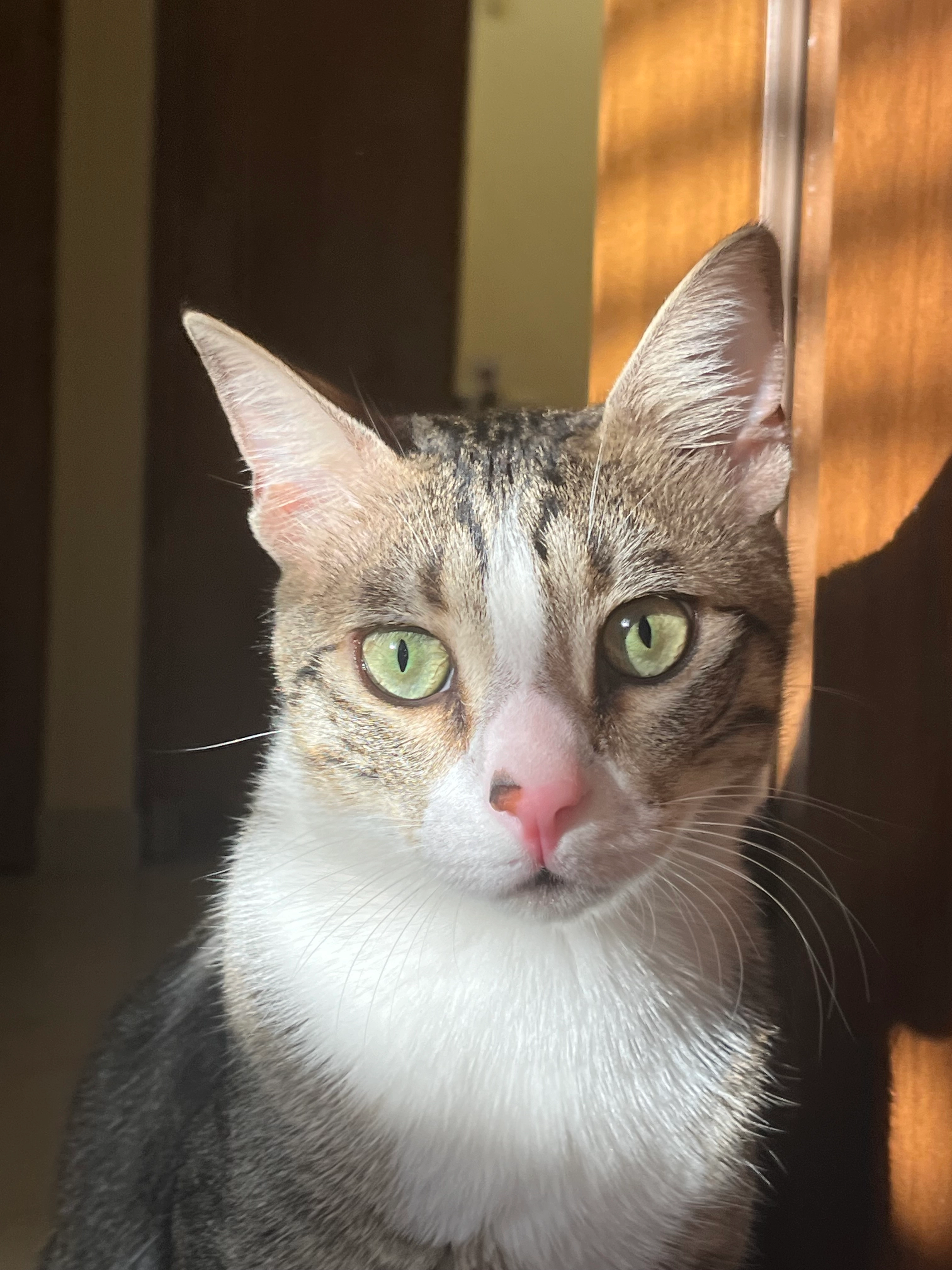 Fufu - Mesilat Wolfson Street, Tel Aviv