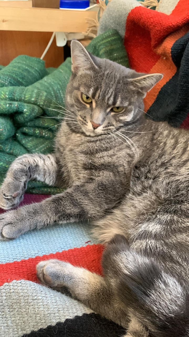 Gloria - 1 Saint John's Terrace, Great Yarmouth