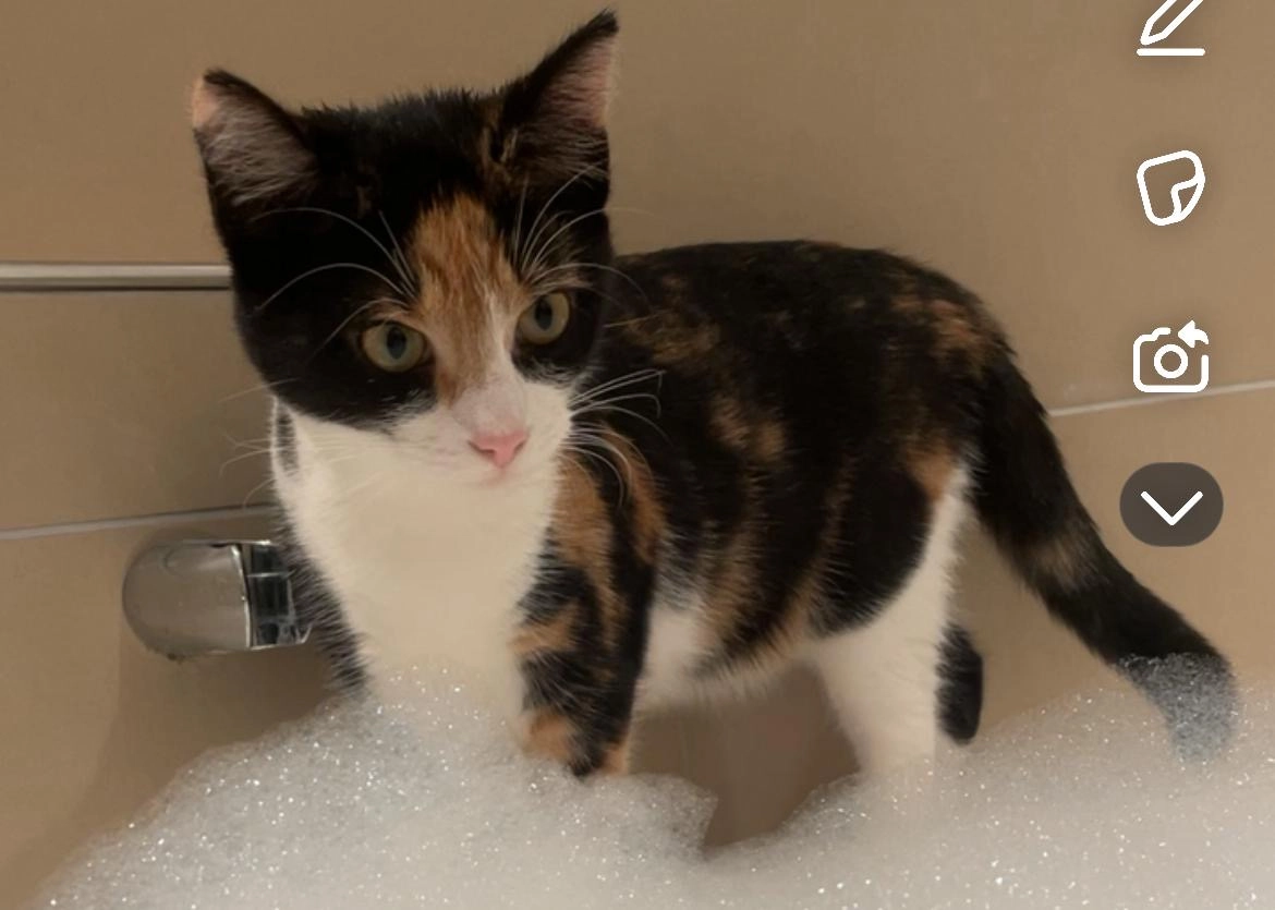 Alma - Am Dorfplatz 6, Fredesdorf