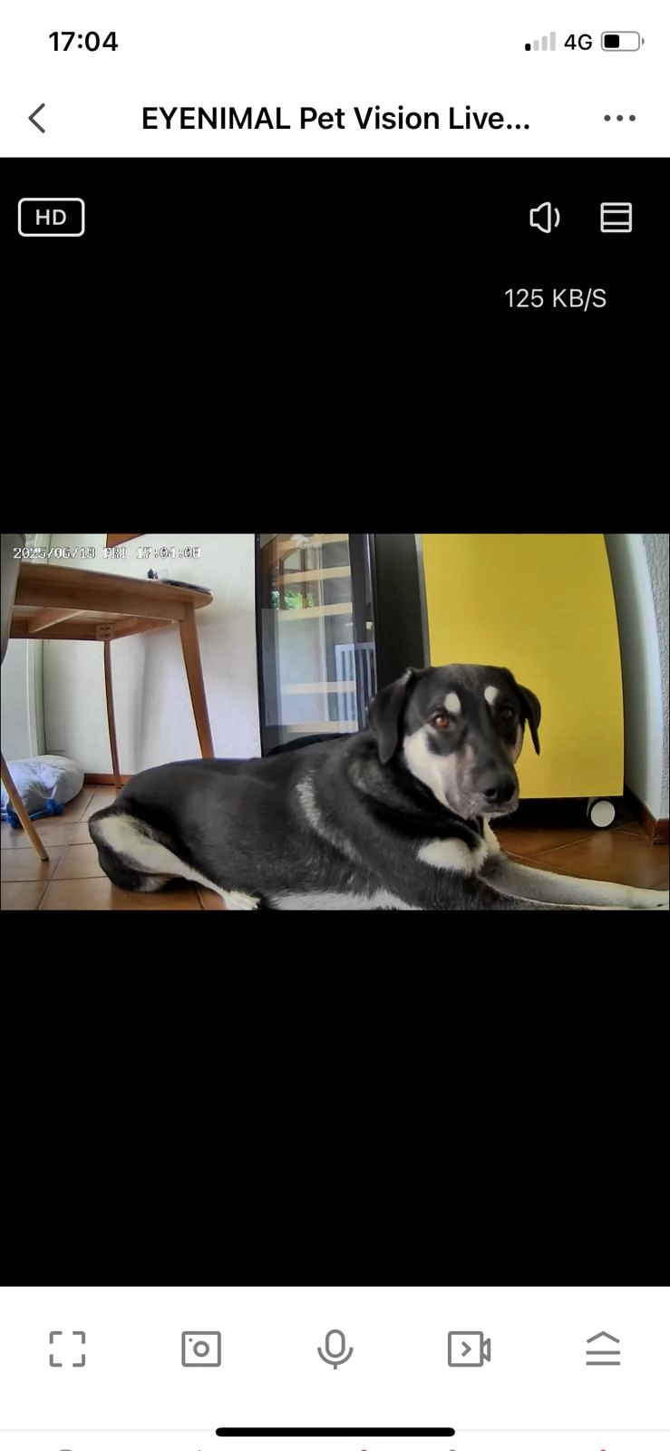 Saga - Route de l'Union, Marly