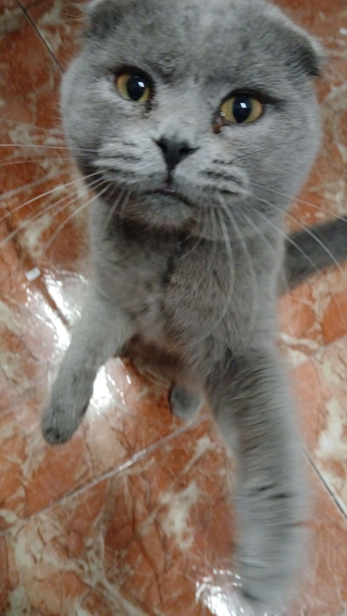 Ulcan - Carretera De Alicante A Francia Por Zaragoza, Jarafuel