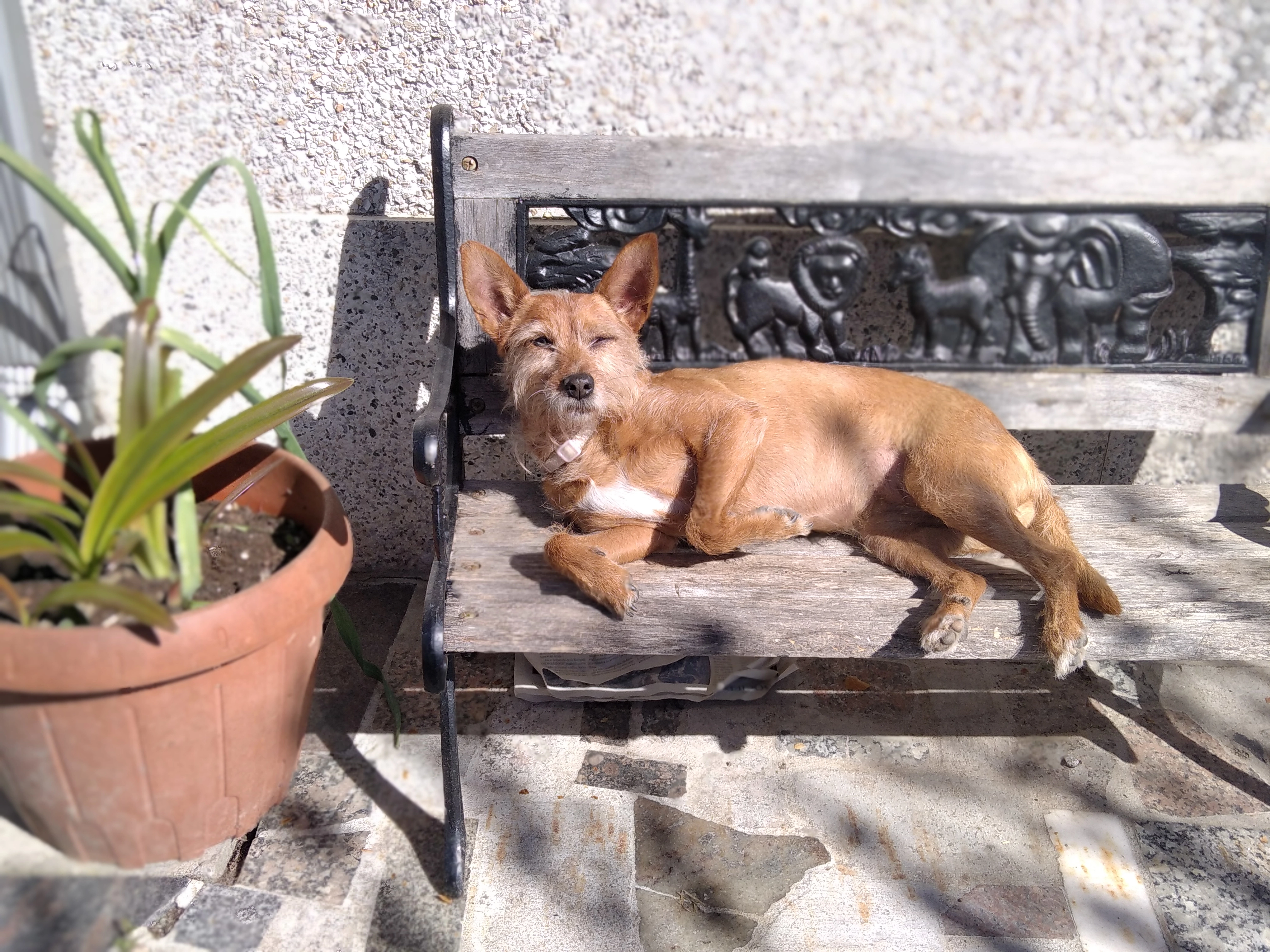 Lua - Cm Pateira-Nigran, Nigrán