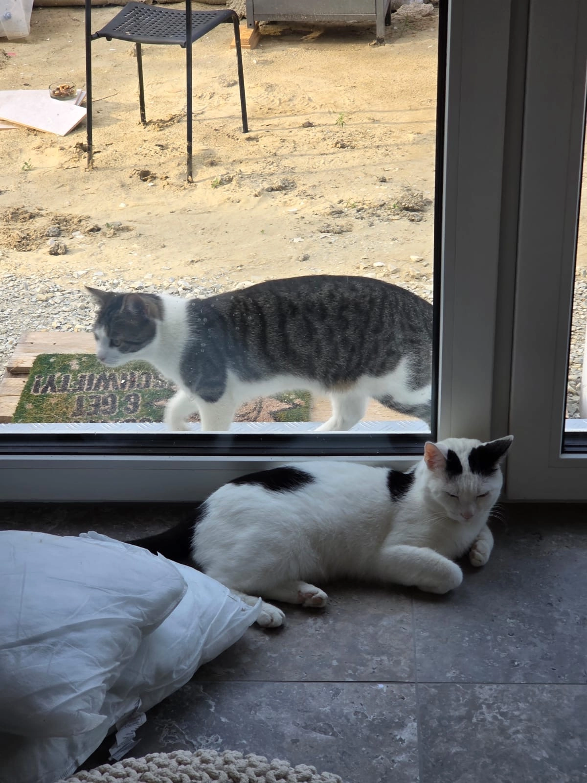 Link - Forststraße 35, Reichertshofen