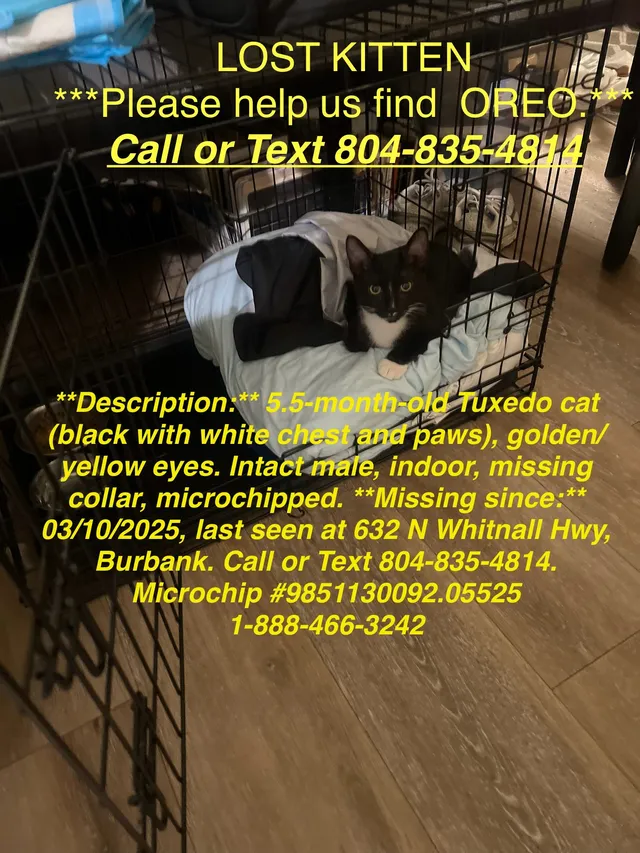 Oreo - 632 N Whitnall Hwy, Burbank