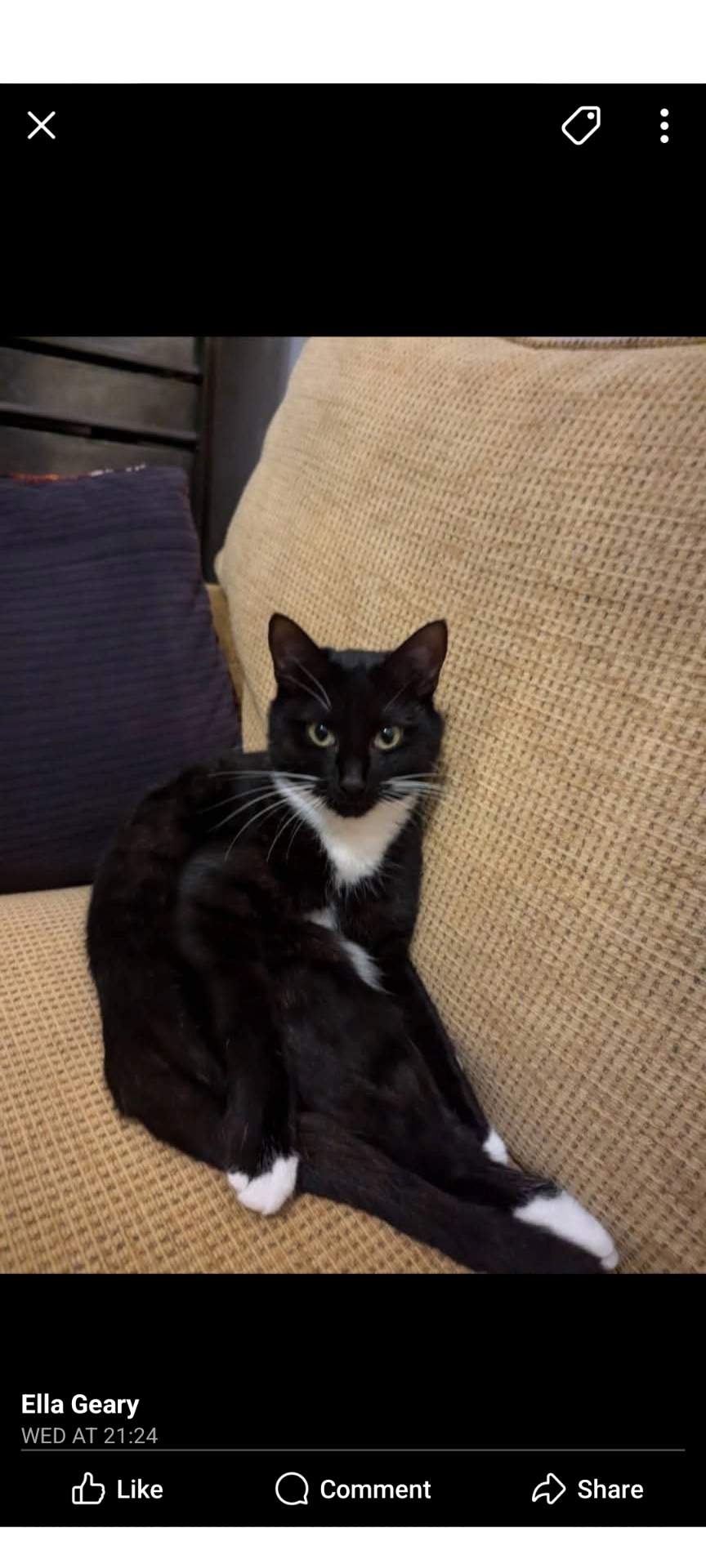 Fudge - Cardigan Road, Bournemouth