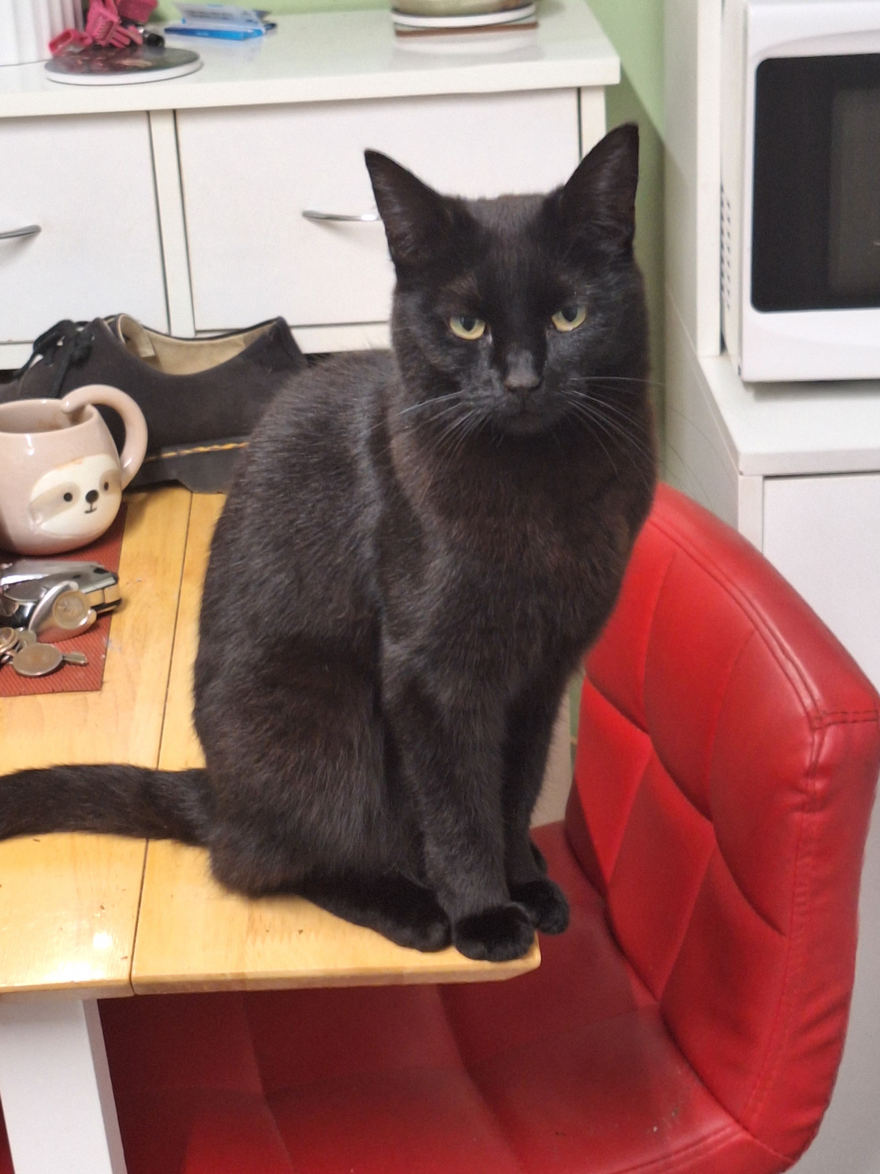 nimway - Riverside View, Truro