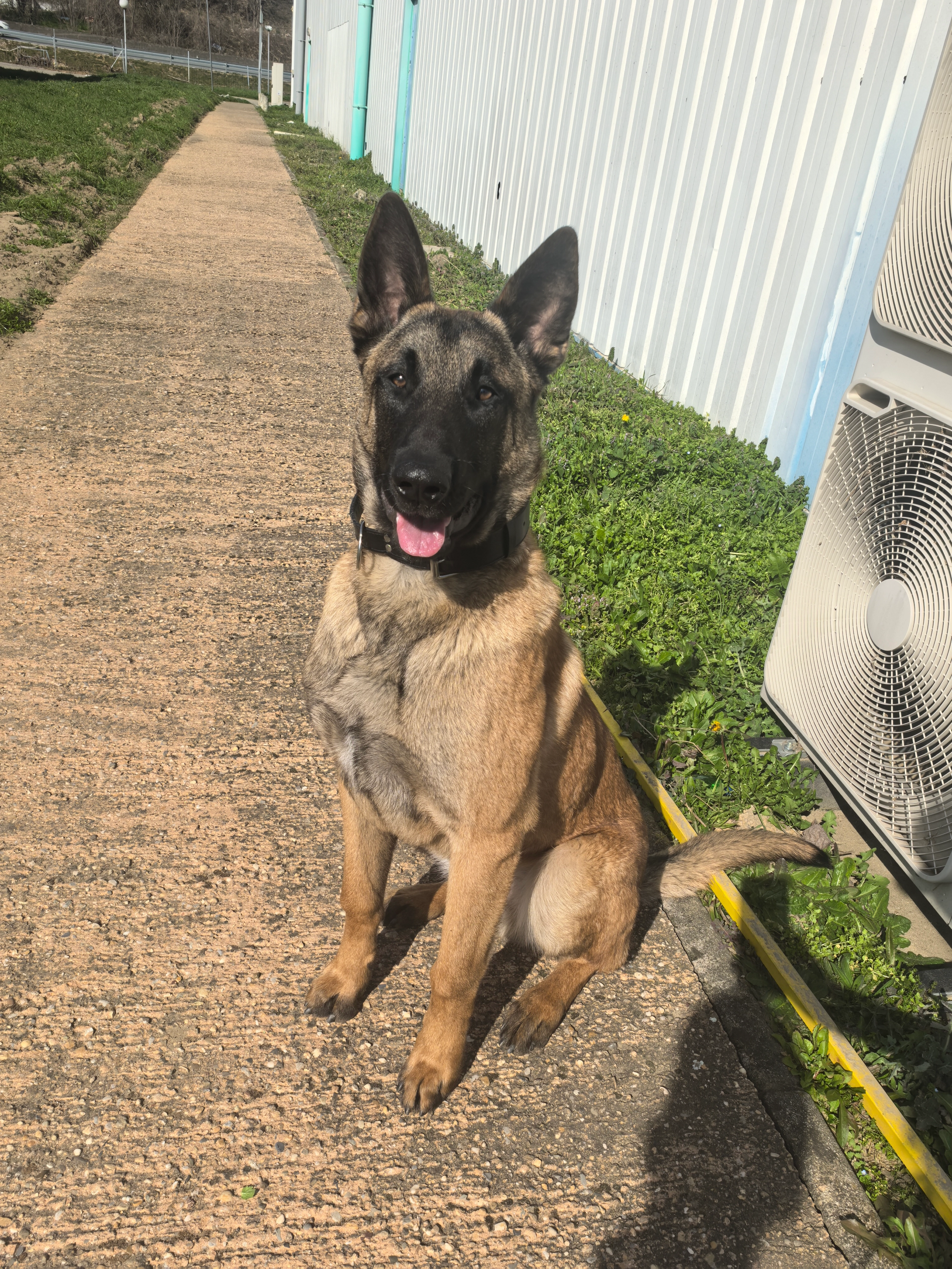 ALPHA - Rue Voltaire, La Ricamarie