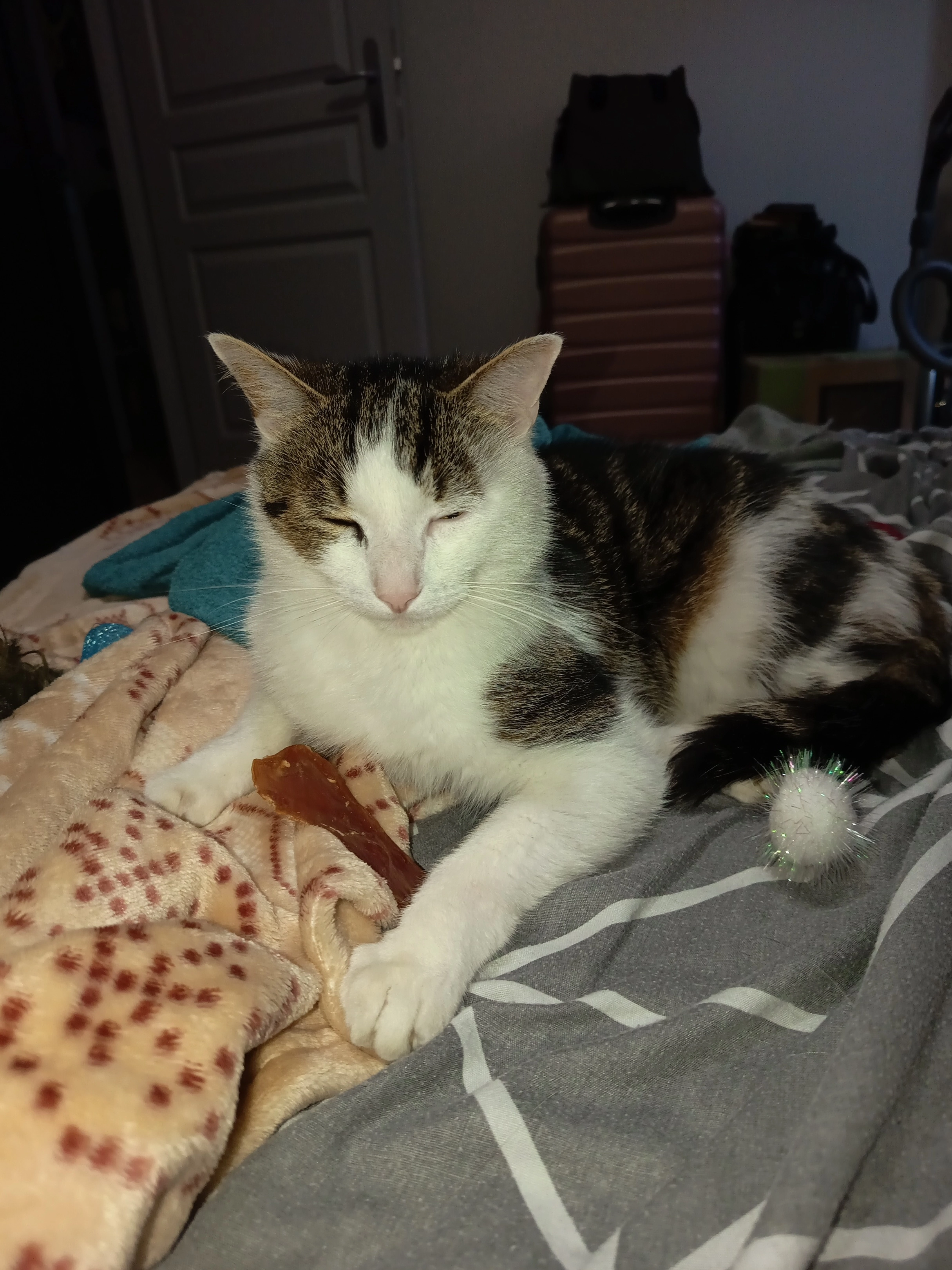 Albator  - 1 Boulevard de la Marne, Dijon