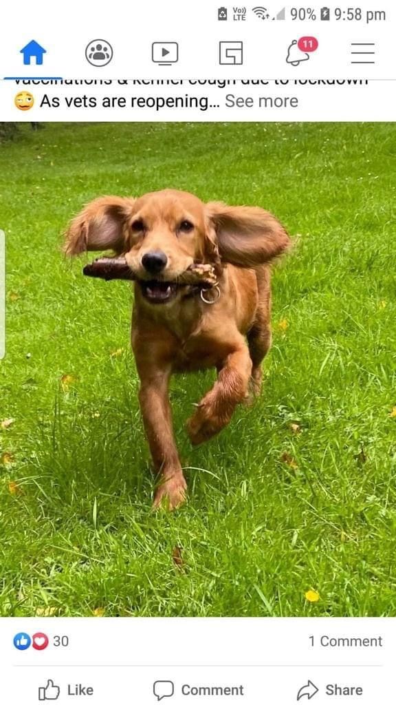 Mia - Albert Street, Carlisle