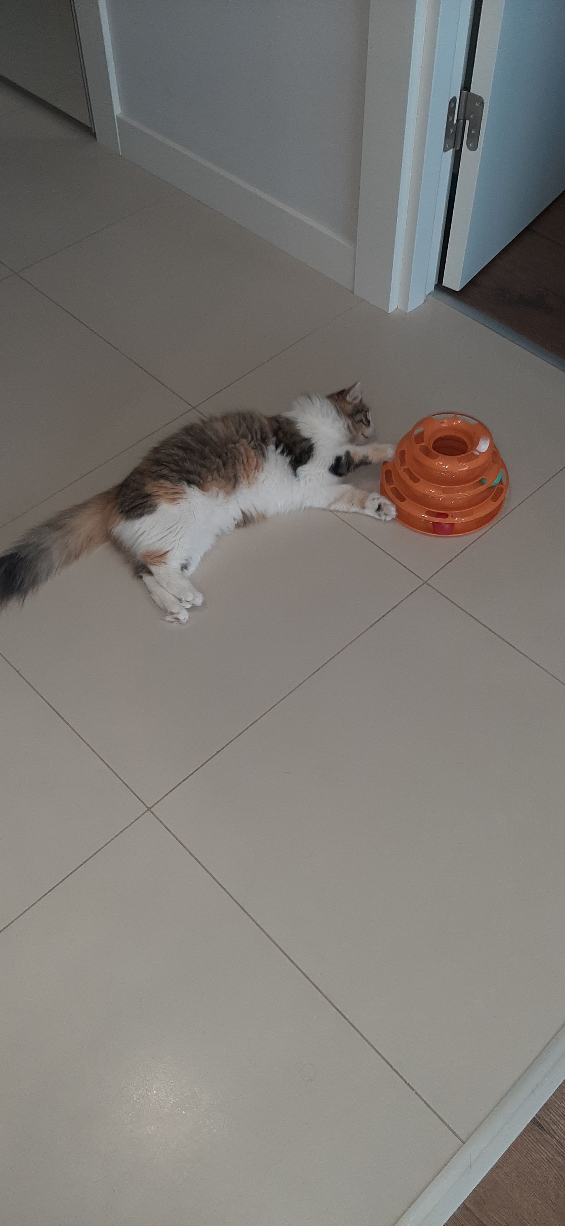 Olivia  - Hadımköy Yolu Caddesi, Istanbul