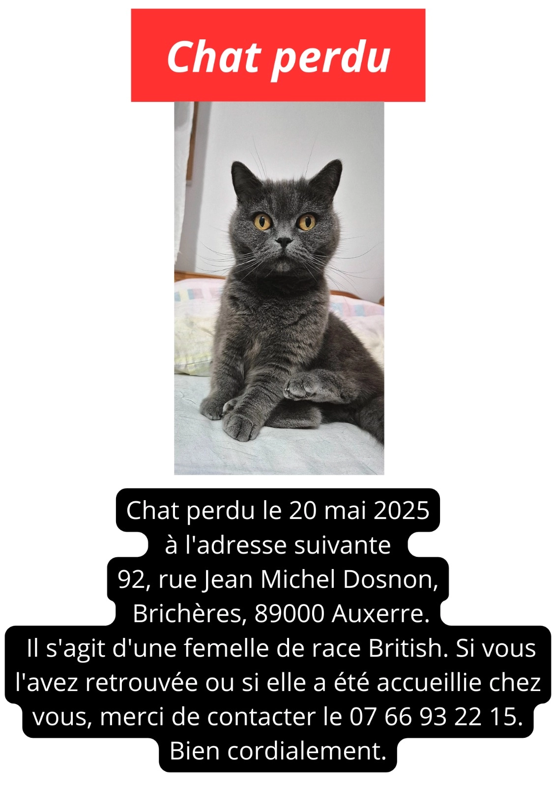 Pamuk - 92 Rue Jean-Michel Dosnon, Auxerre