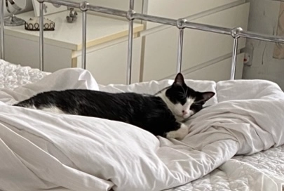 Archie - High Street, Burntwood