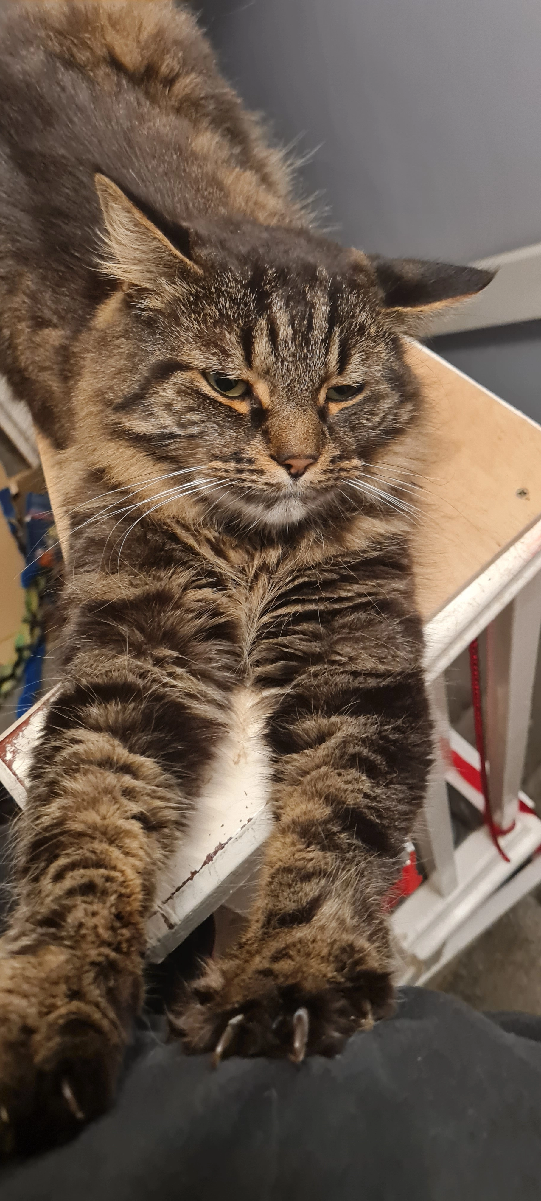 Narla - Tonge Old Road, Bolton