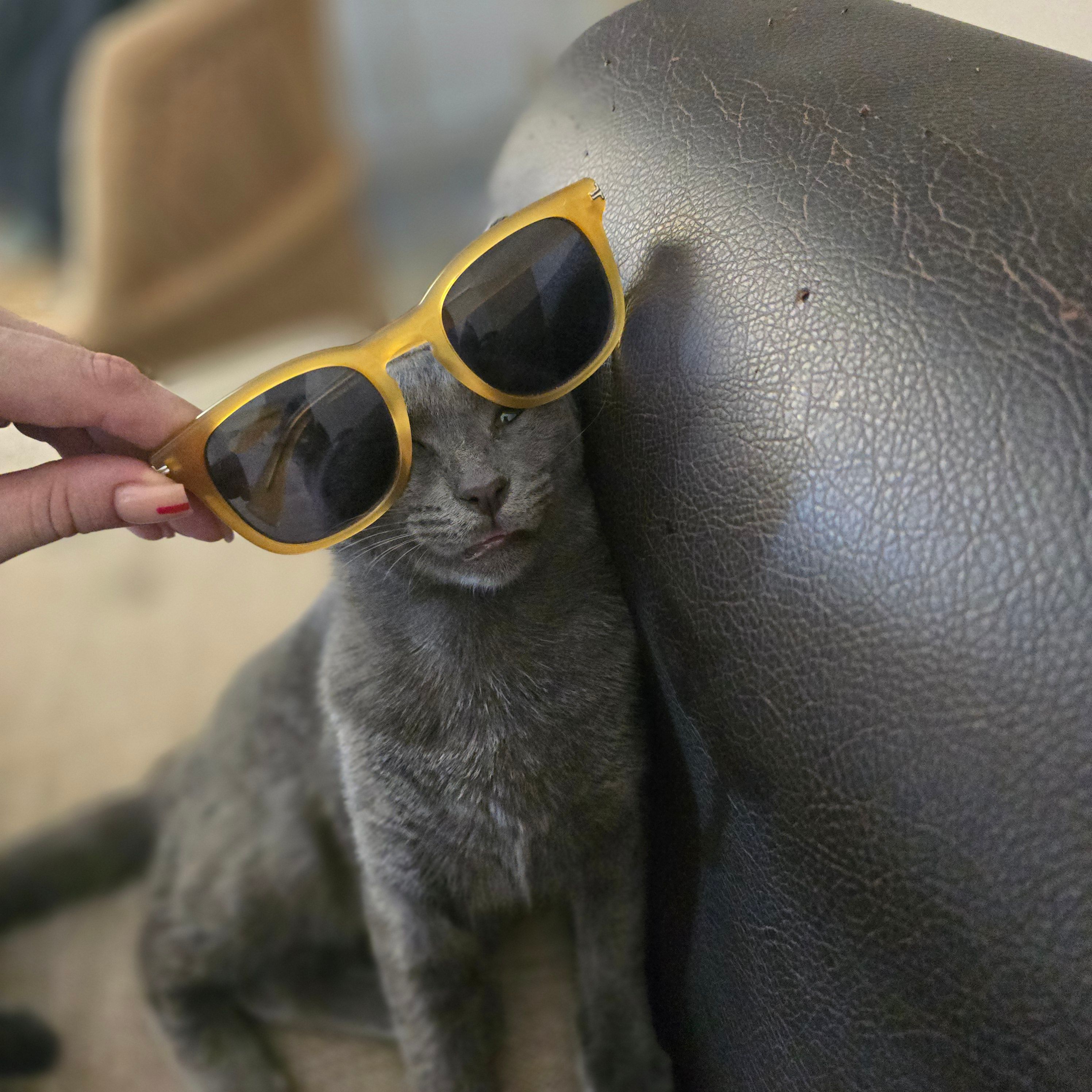 Grabubble - Δωδώνης, Palaio Faliro