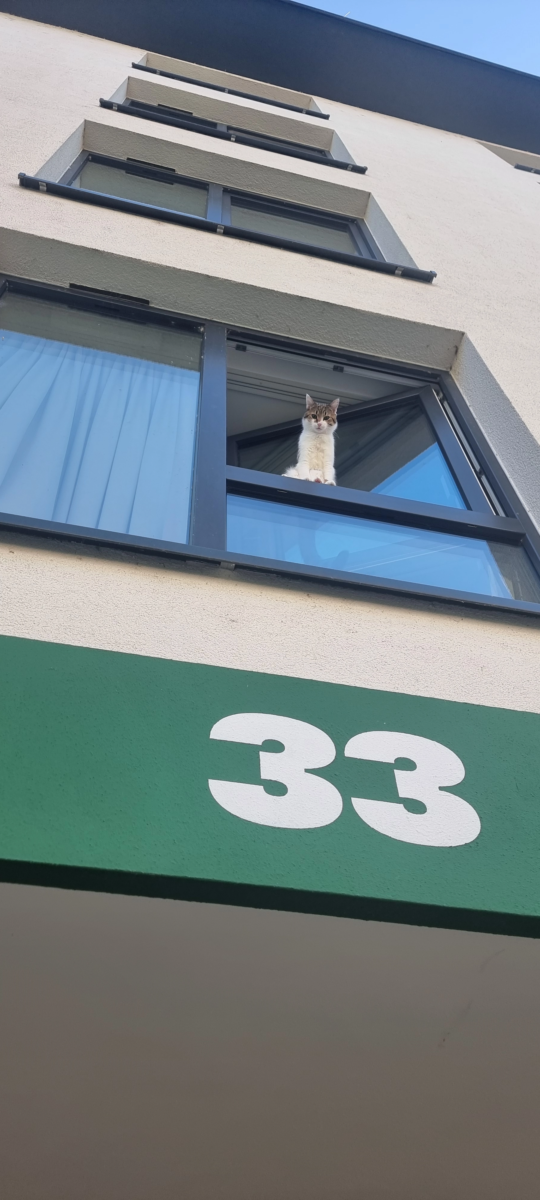 Mimi - Schulstraße, Mainz