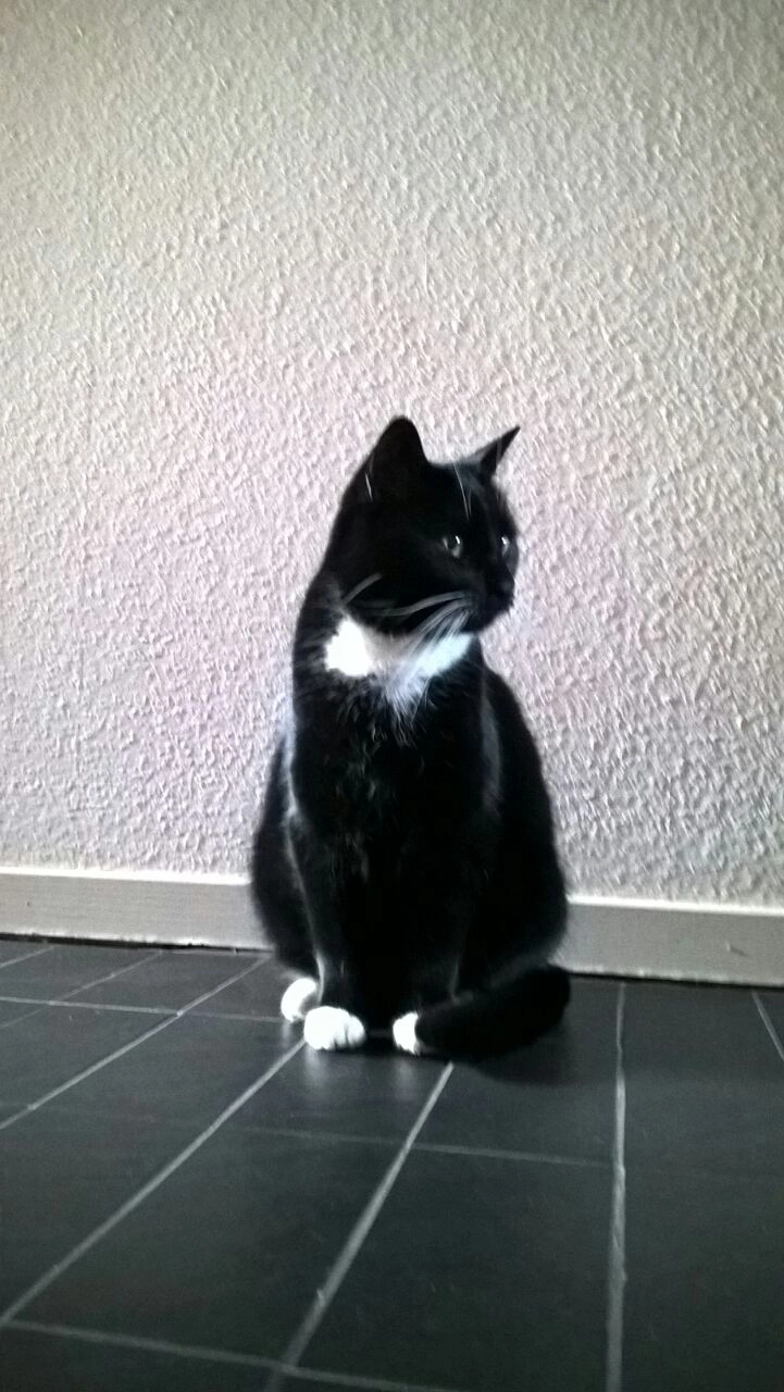 Maggie - Buschhöfen, Haan