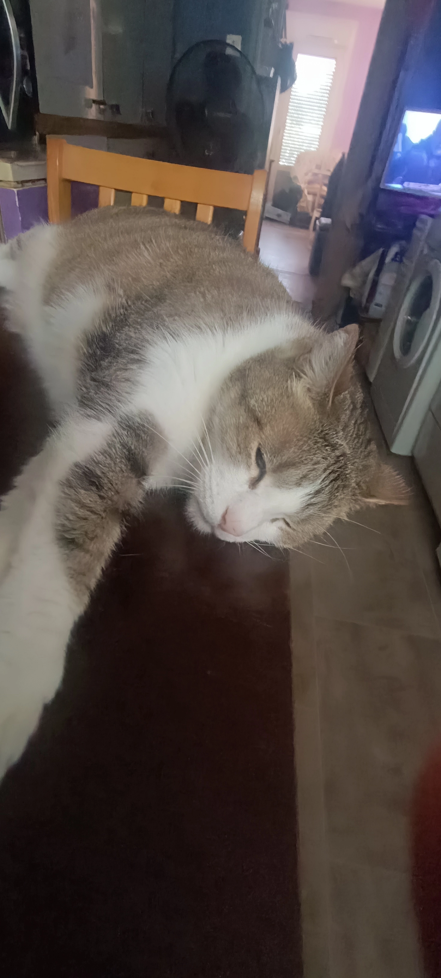 Grisou  - 2 Place René Payot, Saint-Mihiel