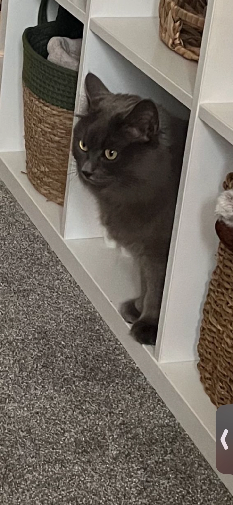 Mia - Blackburn Close, Bedford