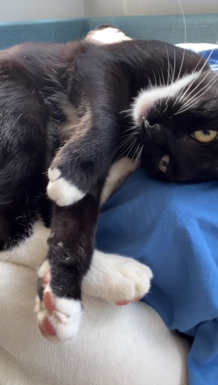 Cyro - Am Backhaus, Peterswald-Löffelscheid