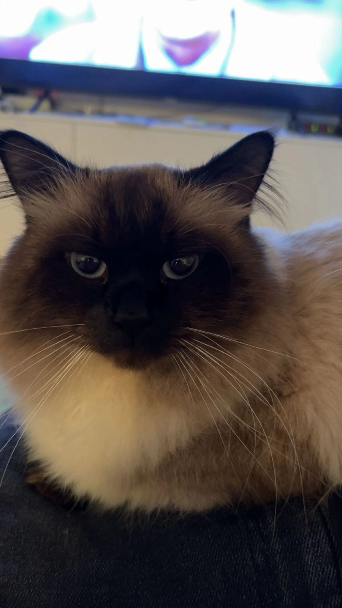 Piu - Bahnhofstraße 5, Radeberg