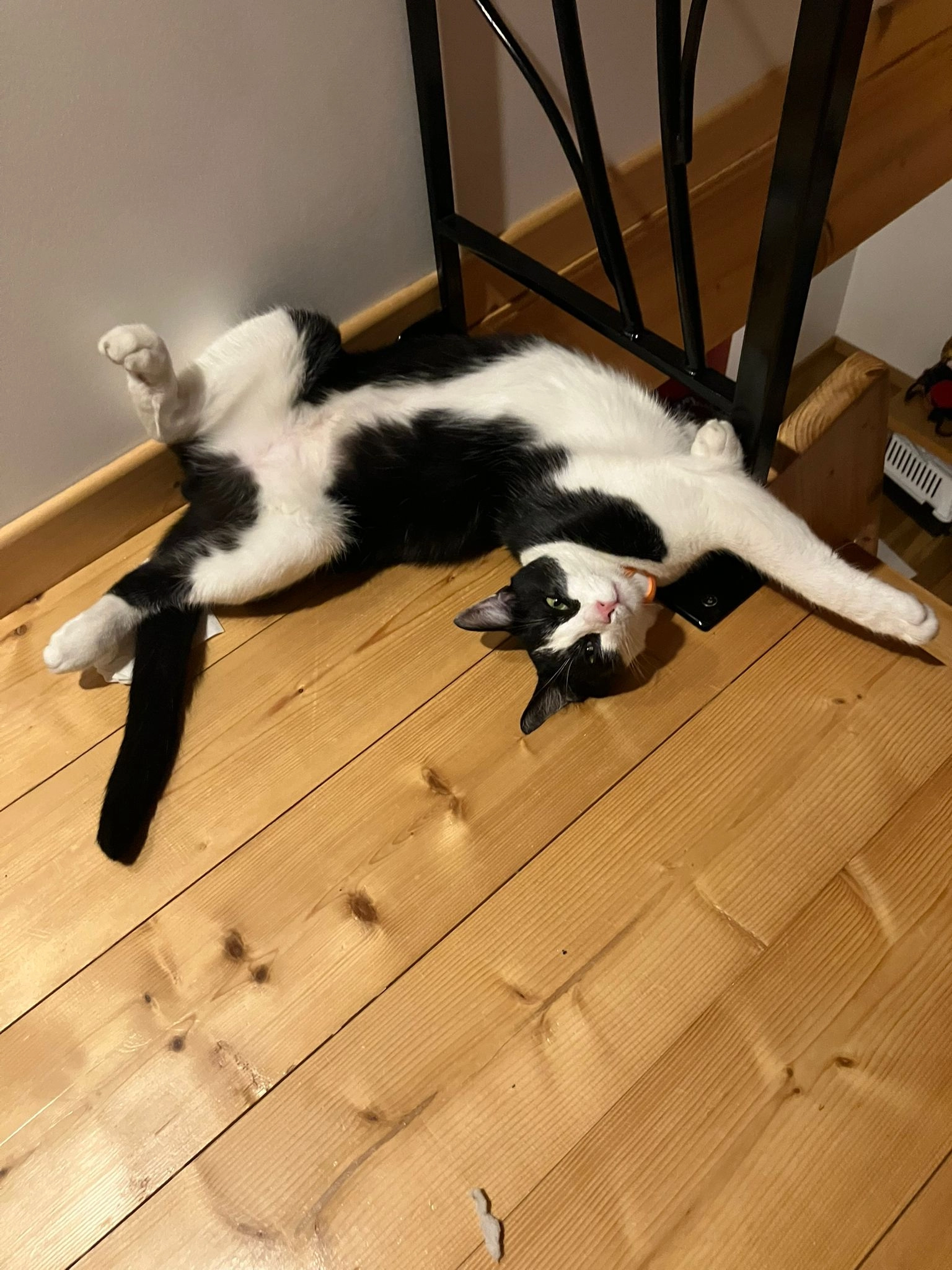 Guinness - Passage Des Argos, Annecy