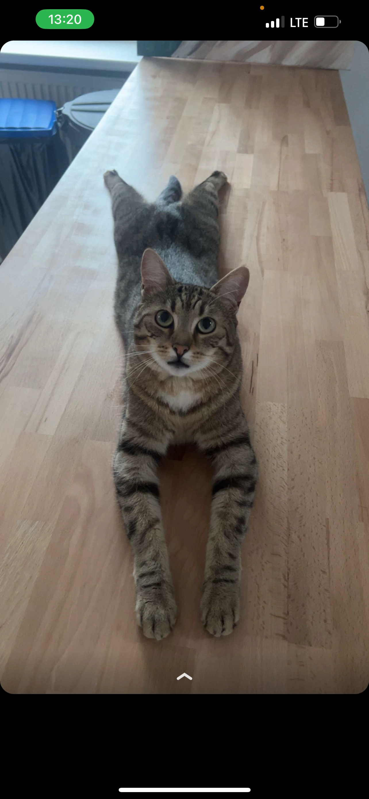 Pablo  - Königsteiner Straße, Frankfurt am Main