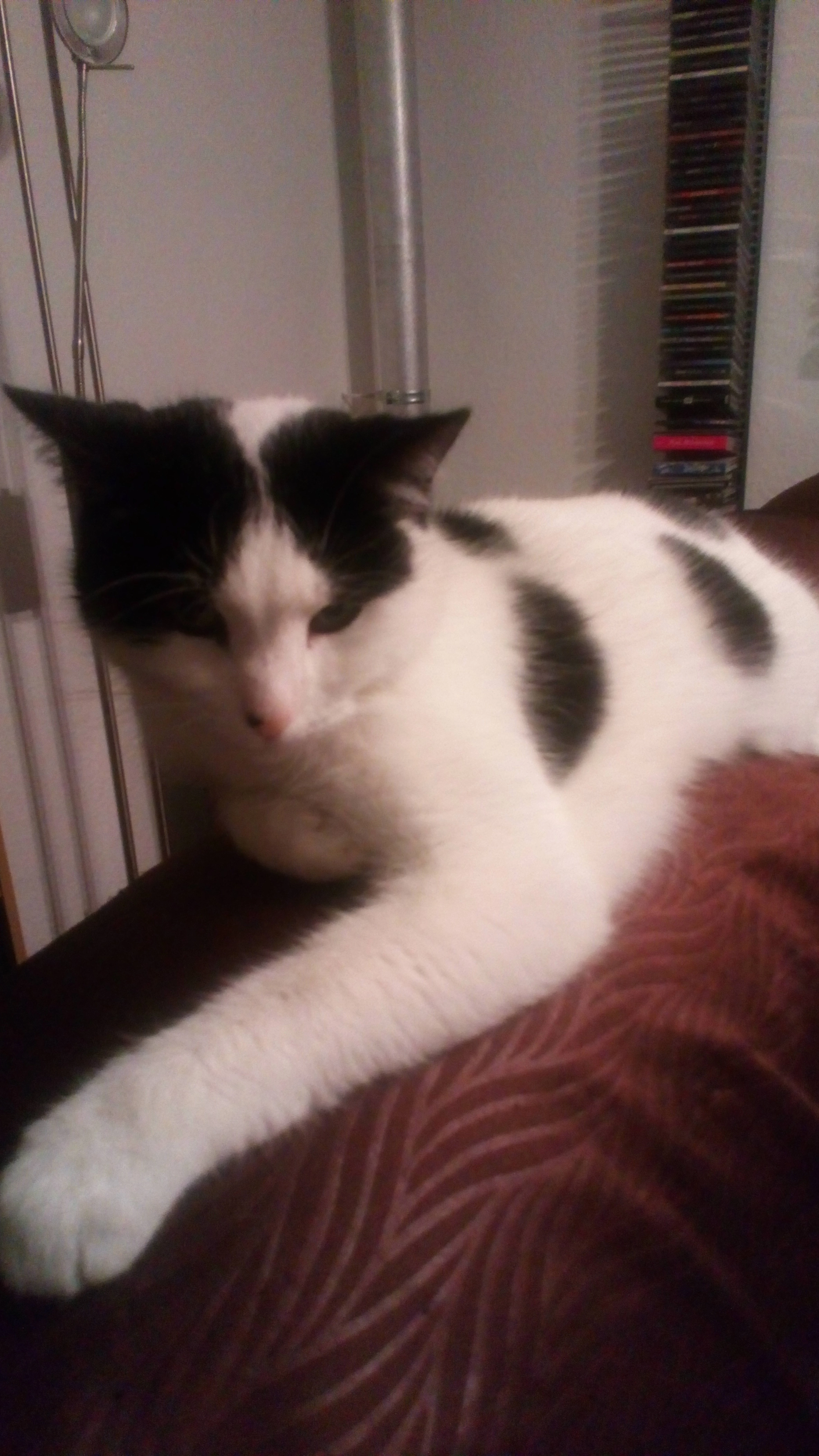 wiwiju - Weißensteiner Straße, Schwäbisch Gmünd