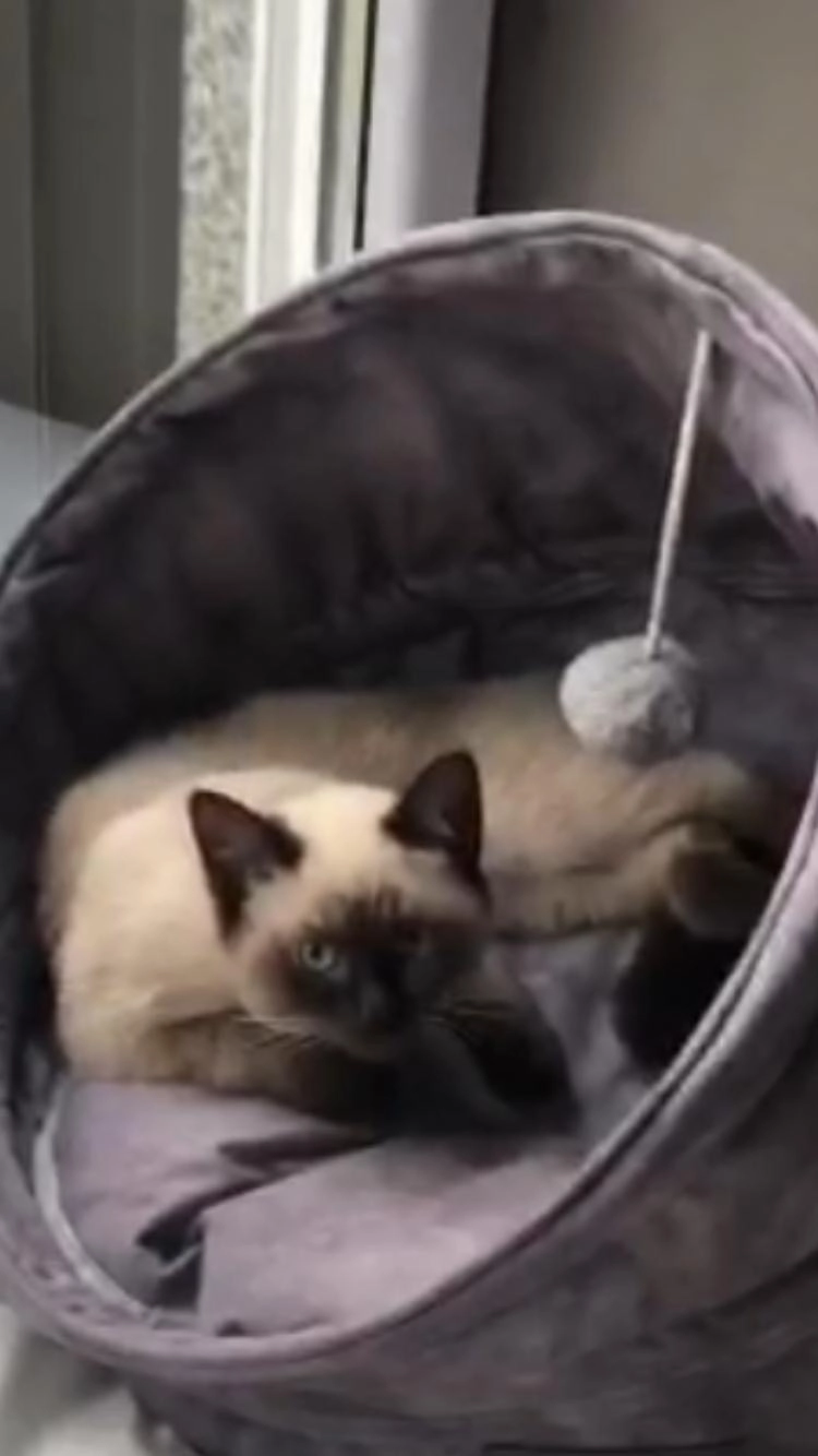 Zima - Agnes-Miegel-Straße, Beckum