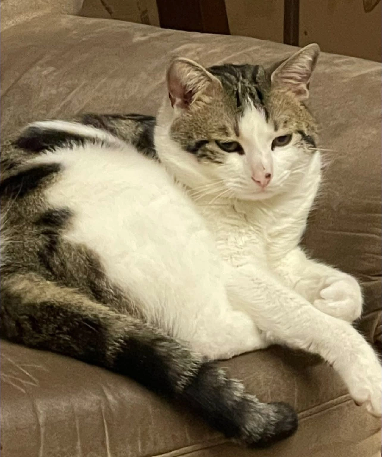 Sukar - Lammstraße, Zweibrücken