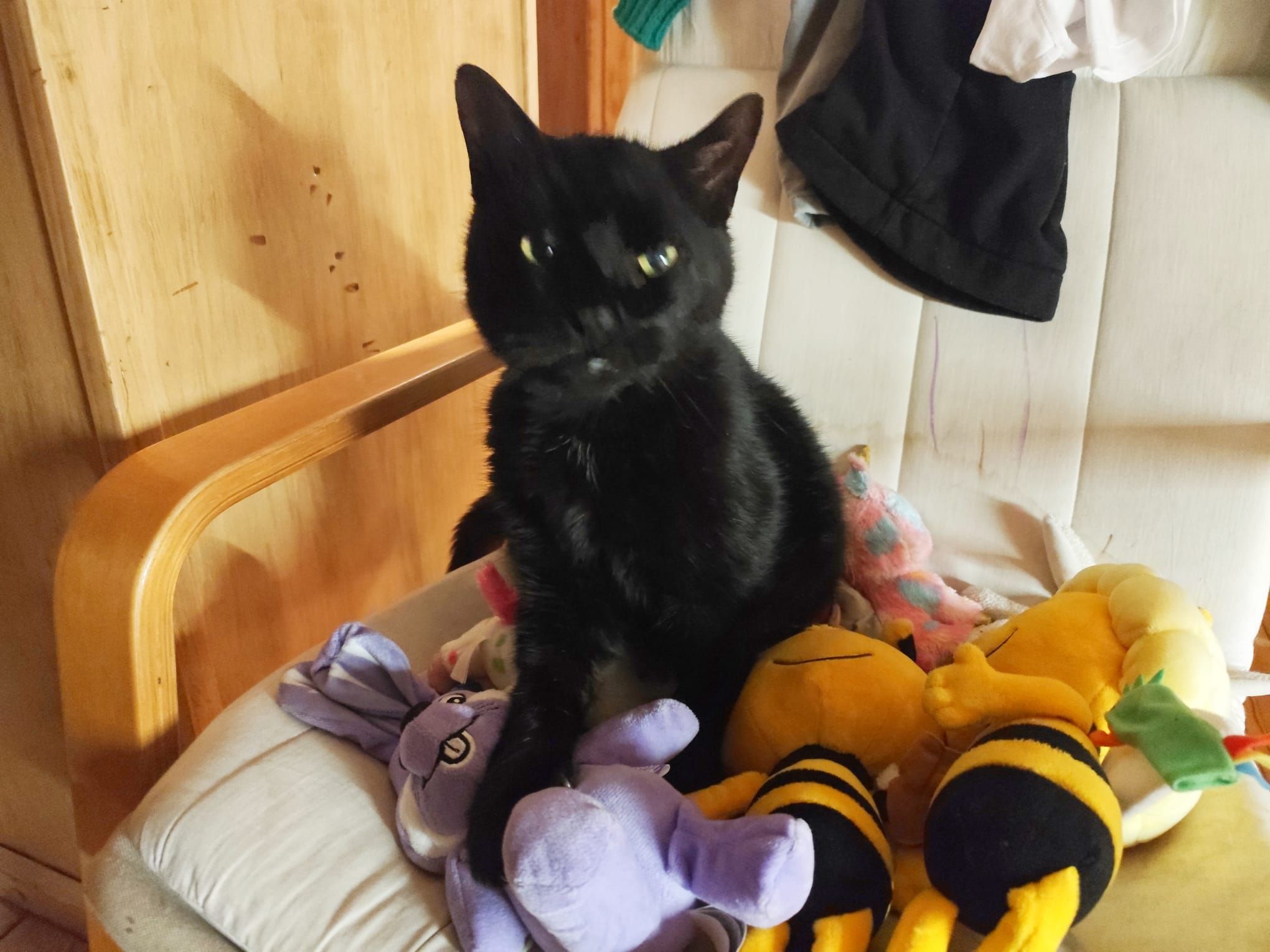 Maau - Schulstraße, Klixbüll