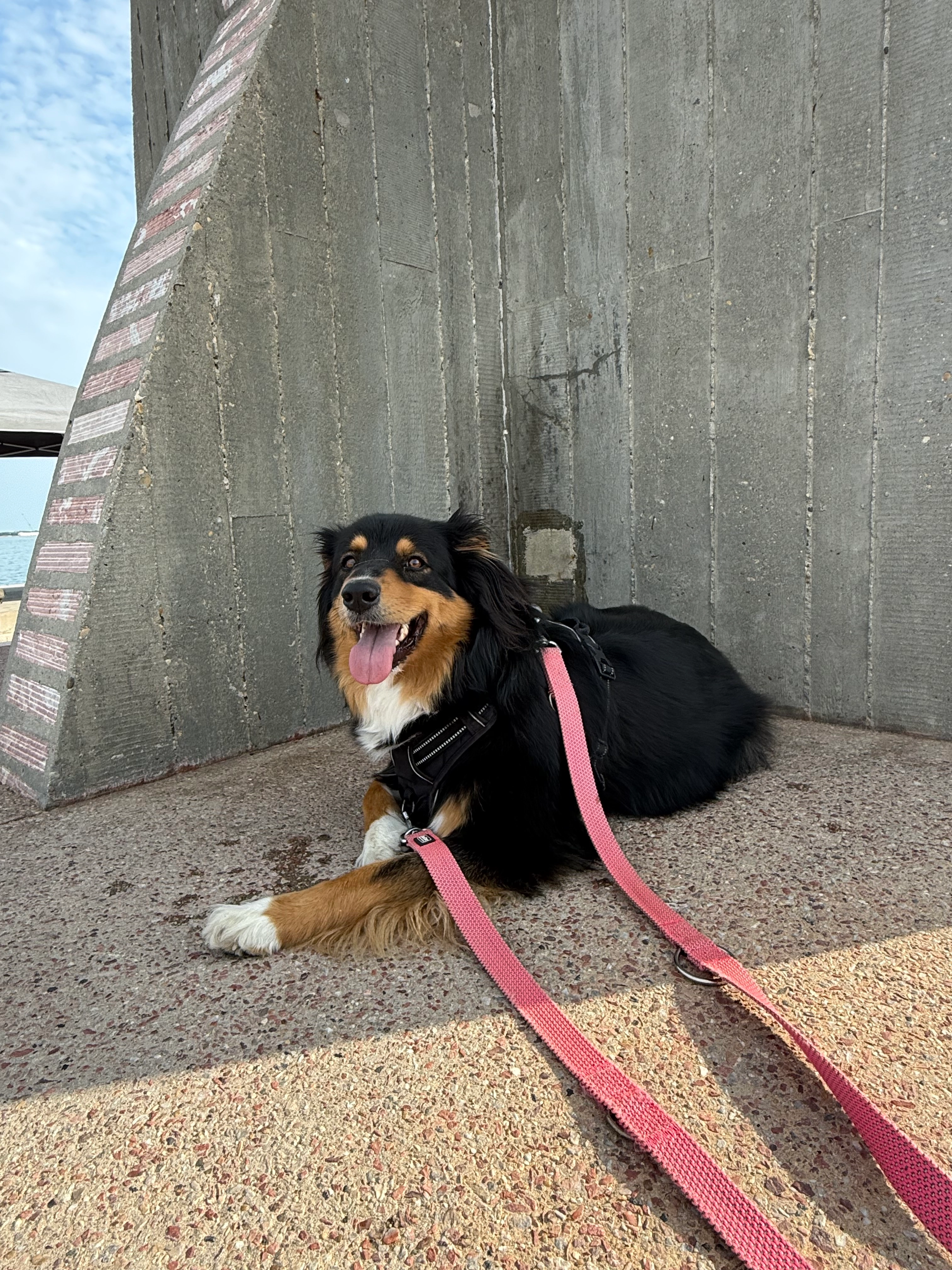 Utah - Avenue Jean Jaurès, Le Grau-du-Roi