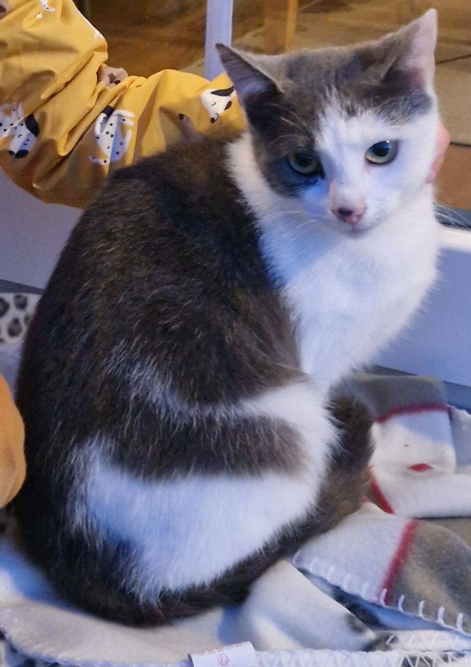 Lieselotte  - Uhlandweg, Staßfurt