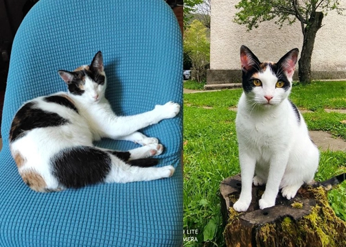 Lilou - D 101, Miraval-Cabardès