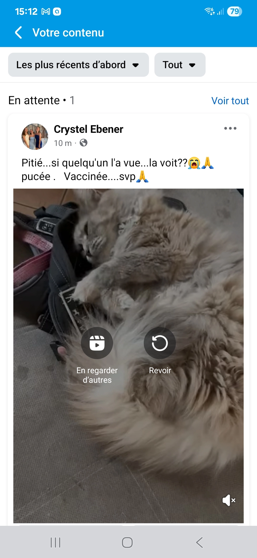 Maya - 21 Rue Jean-Jacques Rousseau, Carnoules