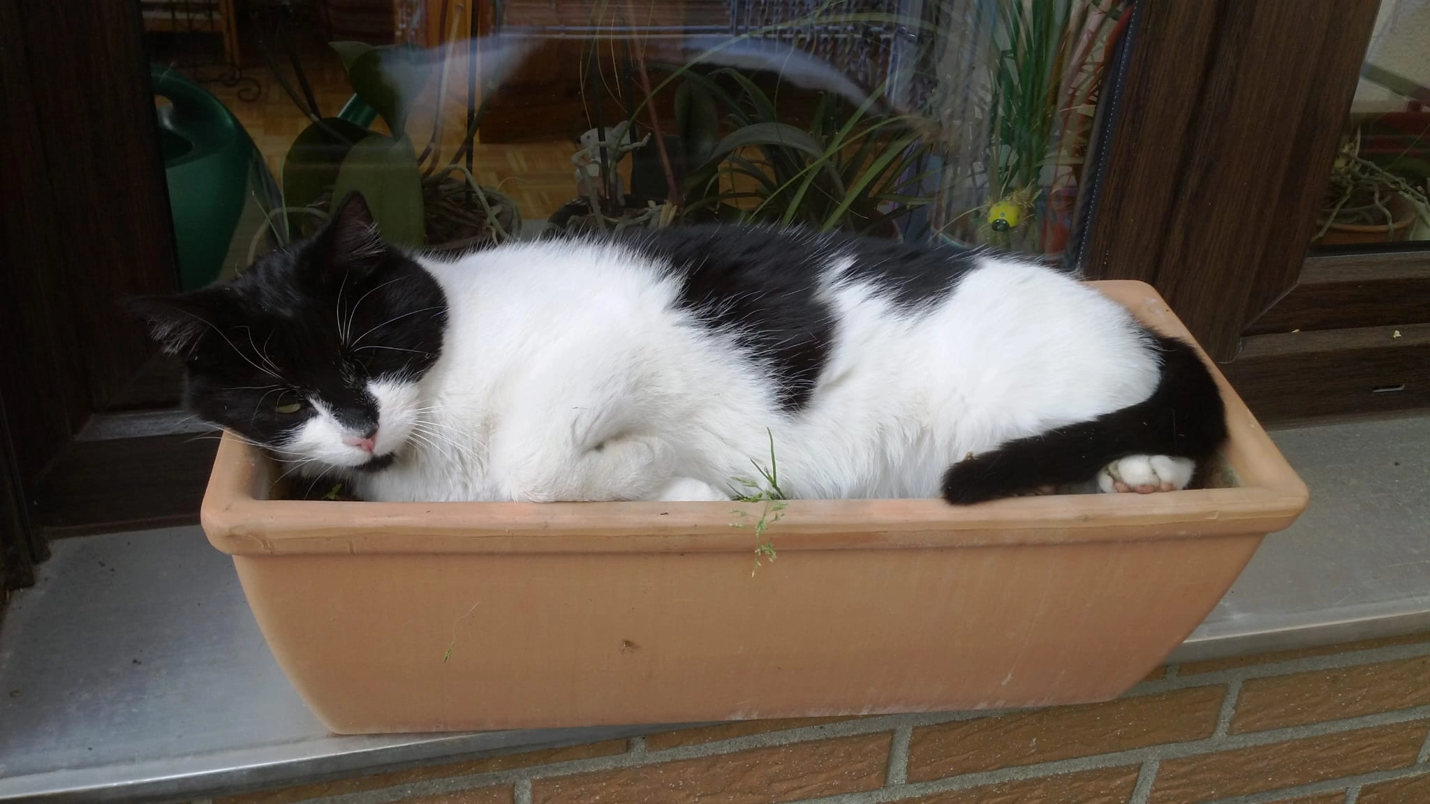 frodo - Schallmauerweg, Hürth