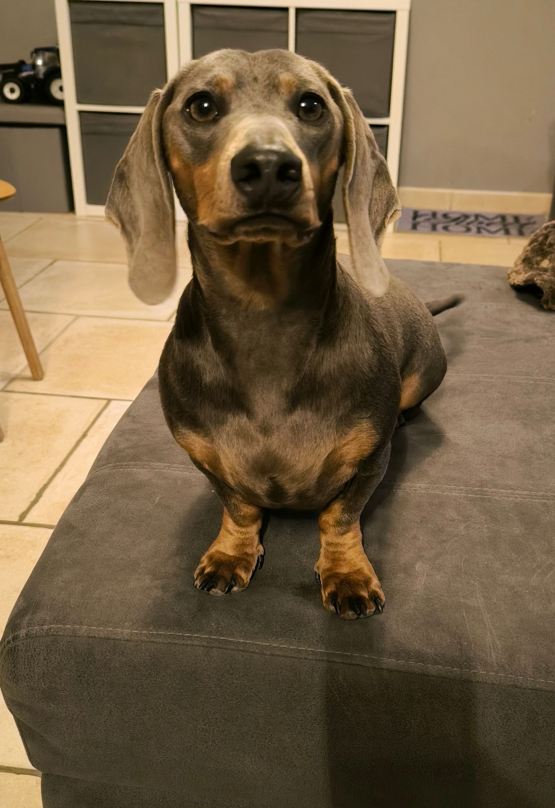 Harry - Rue des Ecoles, Jemeppe-sur-Sambre