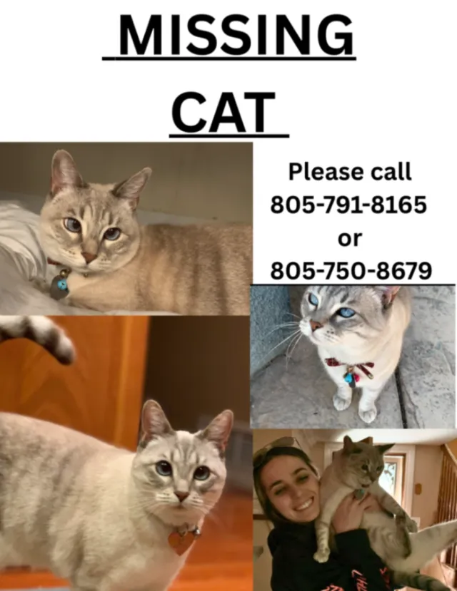 Miss lady - 1248 Haven Ave, Simi Valley