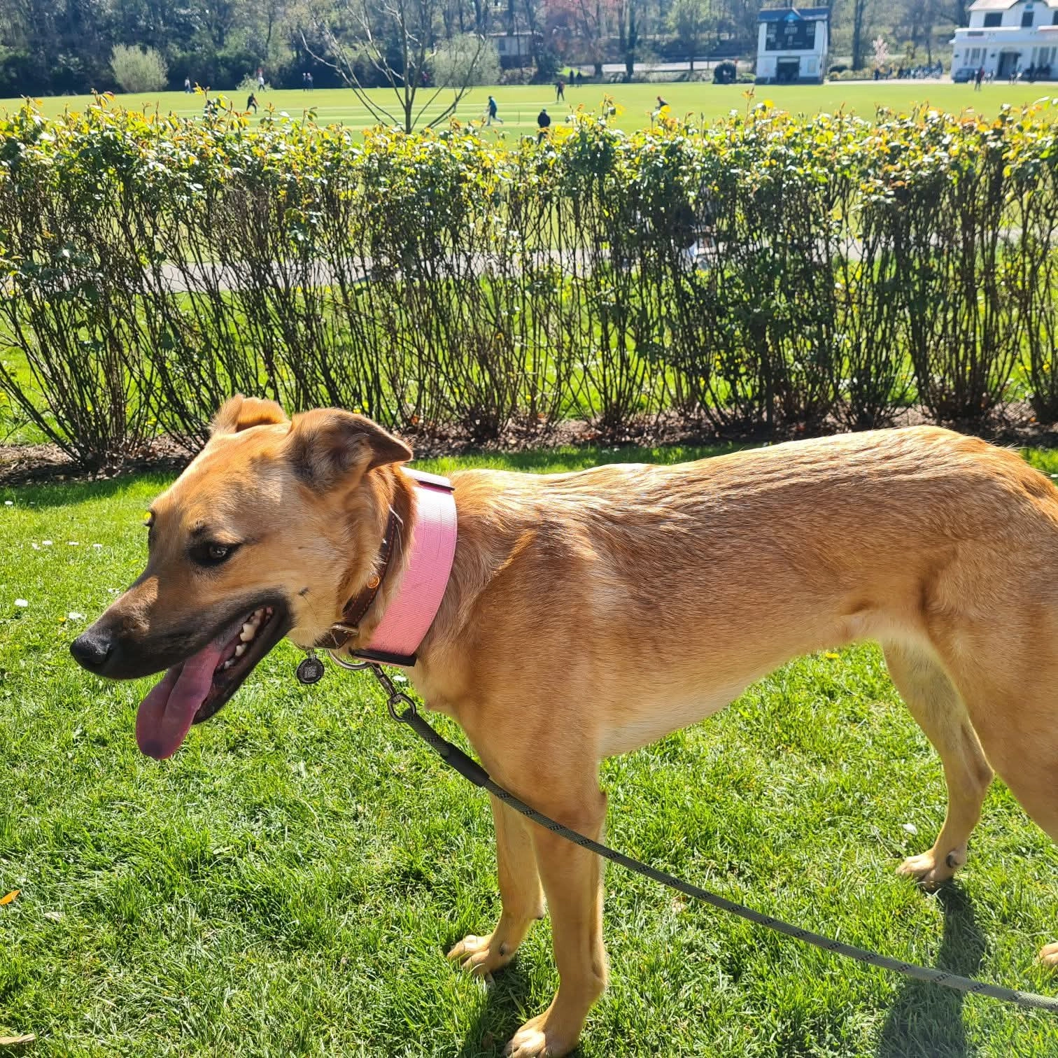 Spring - WN3 4, Wigan