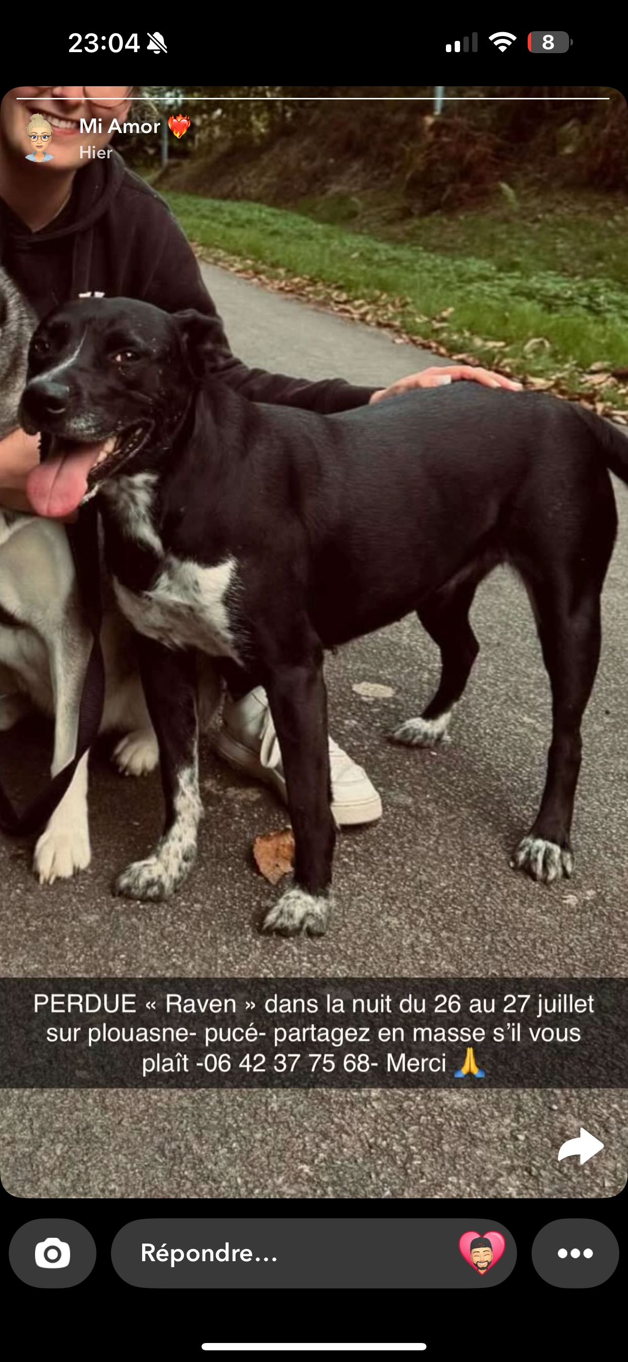 Raven - 4 Rue des Mares, Plouasne