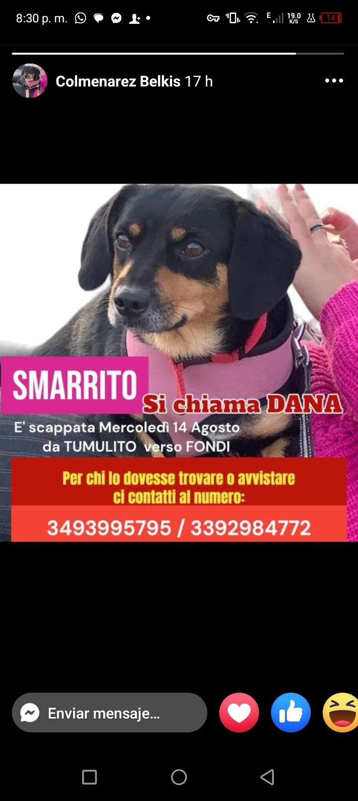 Dana - Via Fondi, Latina