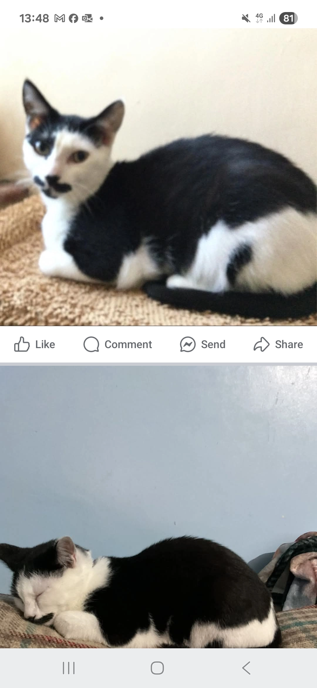 Patch - Lewis Road, St. Leonards-on-Sea