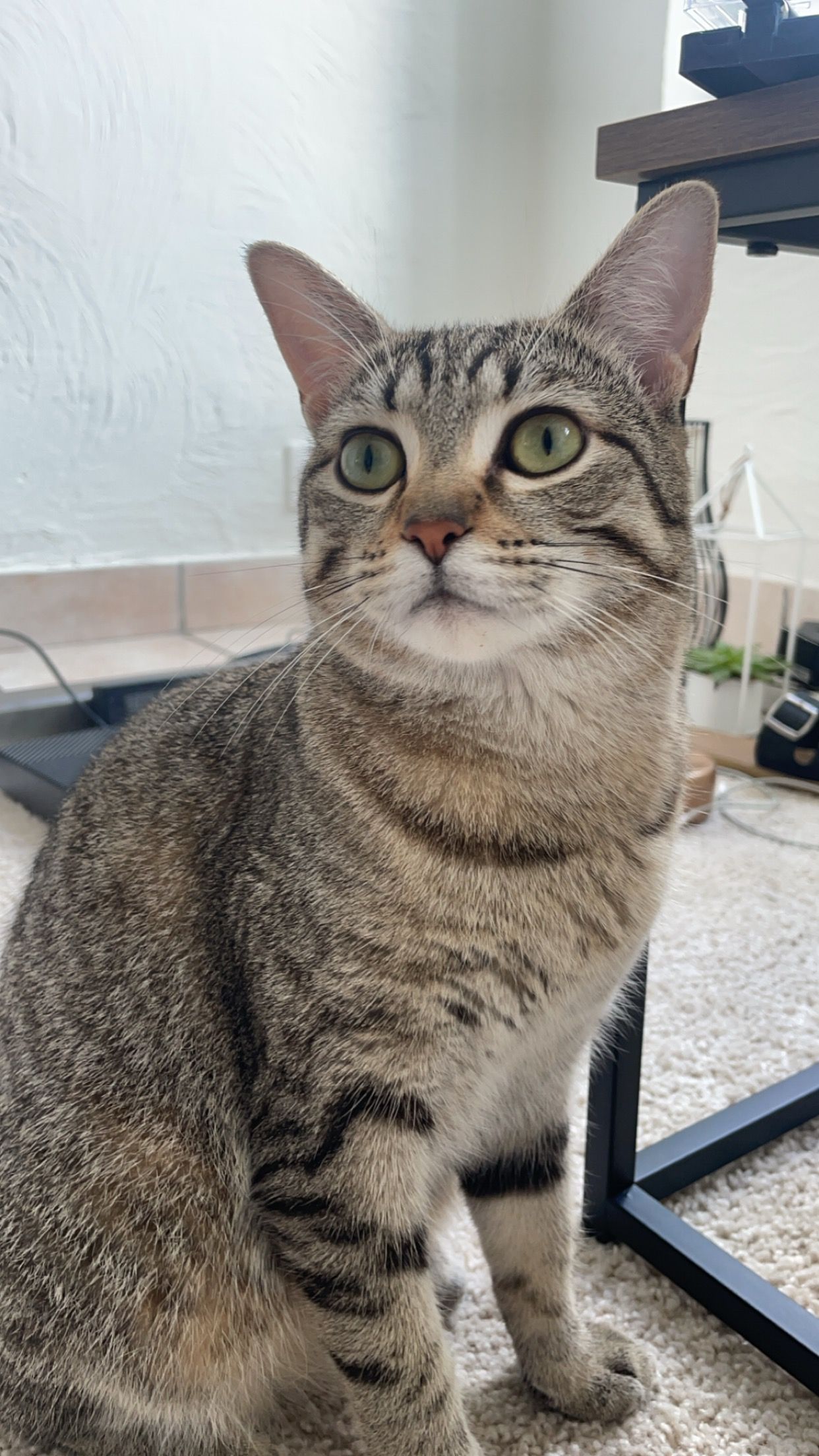 Maggy - Rue du 19 mars 1962, Ferrals-les-Corbières